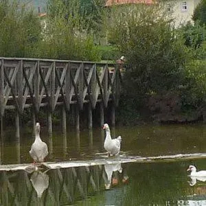 Day in Quinta das Mineirinhas