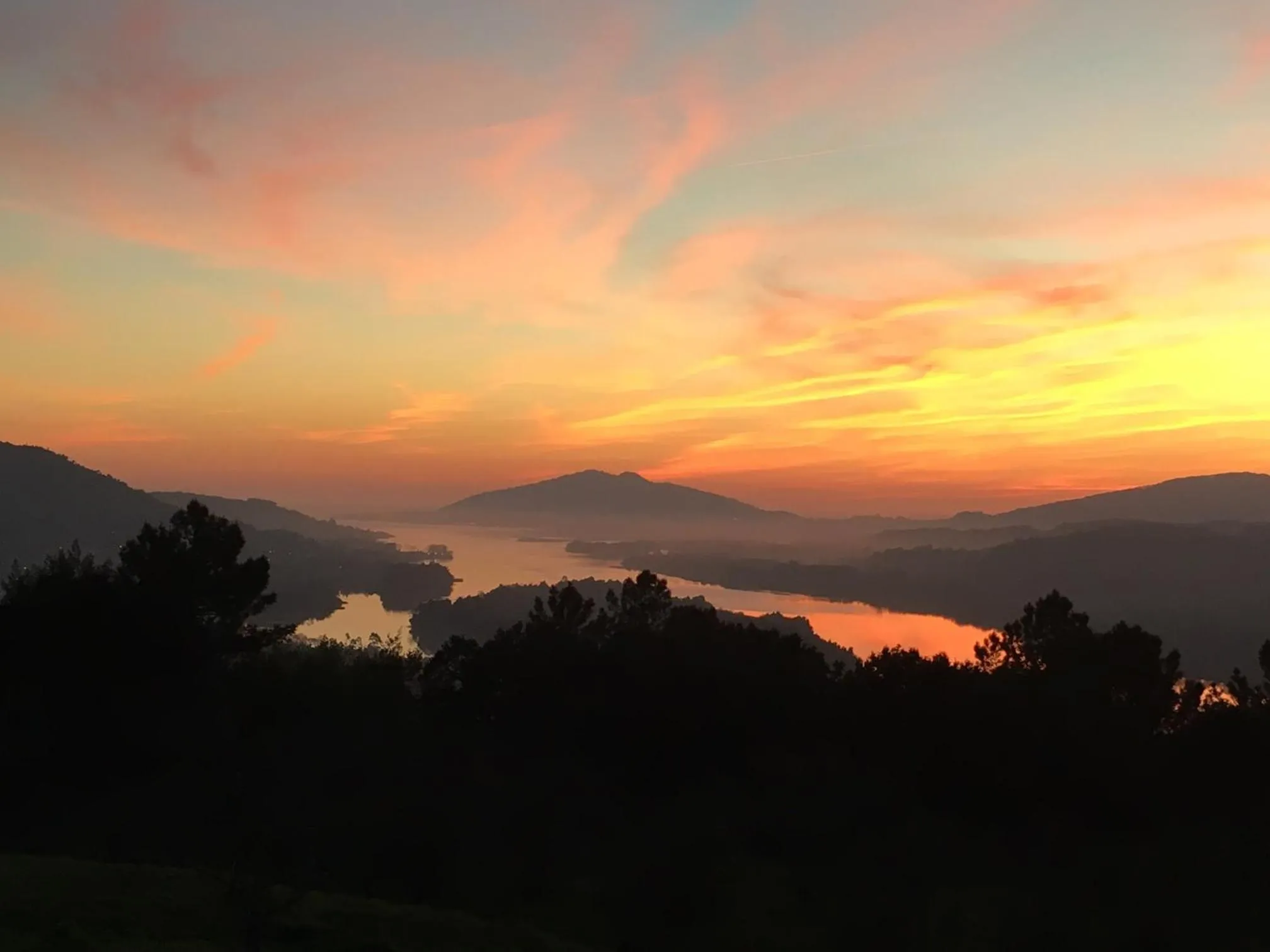 Spring in Quinta das Mineirinhas