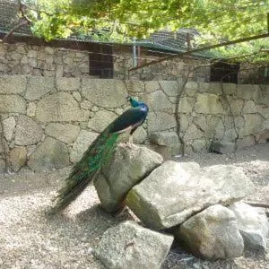 Day in Quinta das Mineirinhas