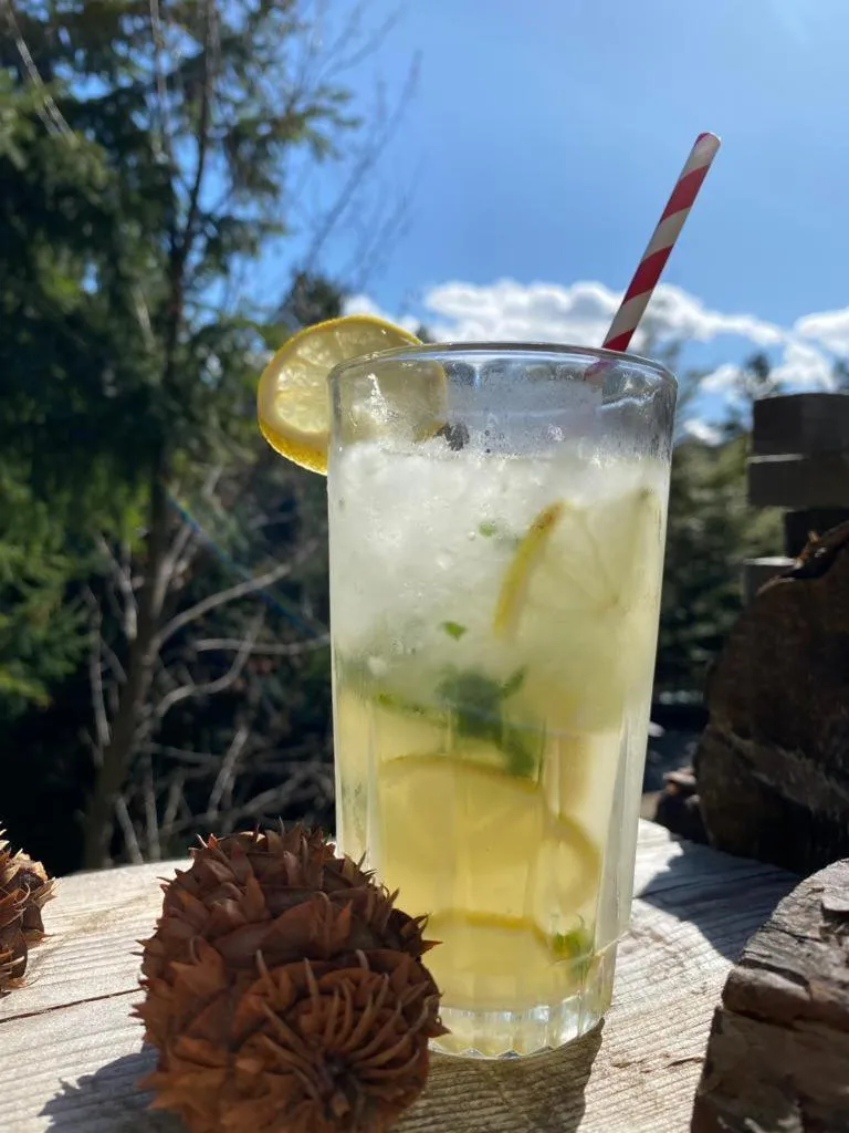 Property building in The Patagonian Lodge