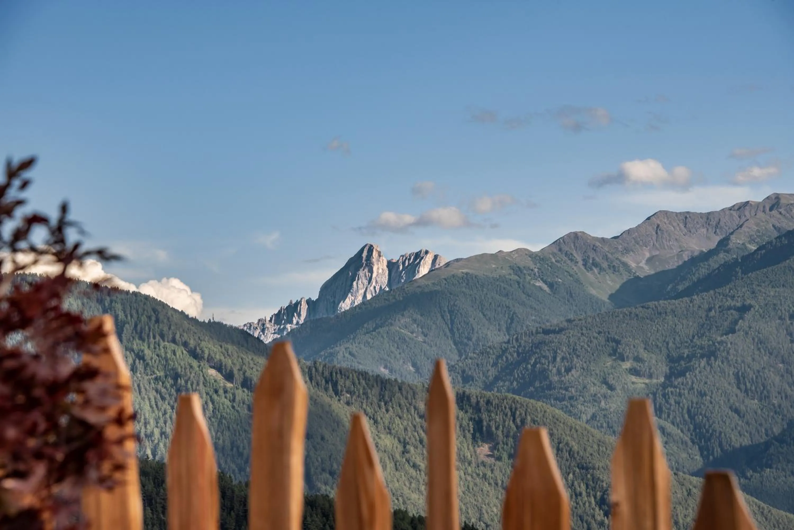 View (from property/room) in Panoramahotel Huberhof