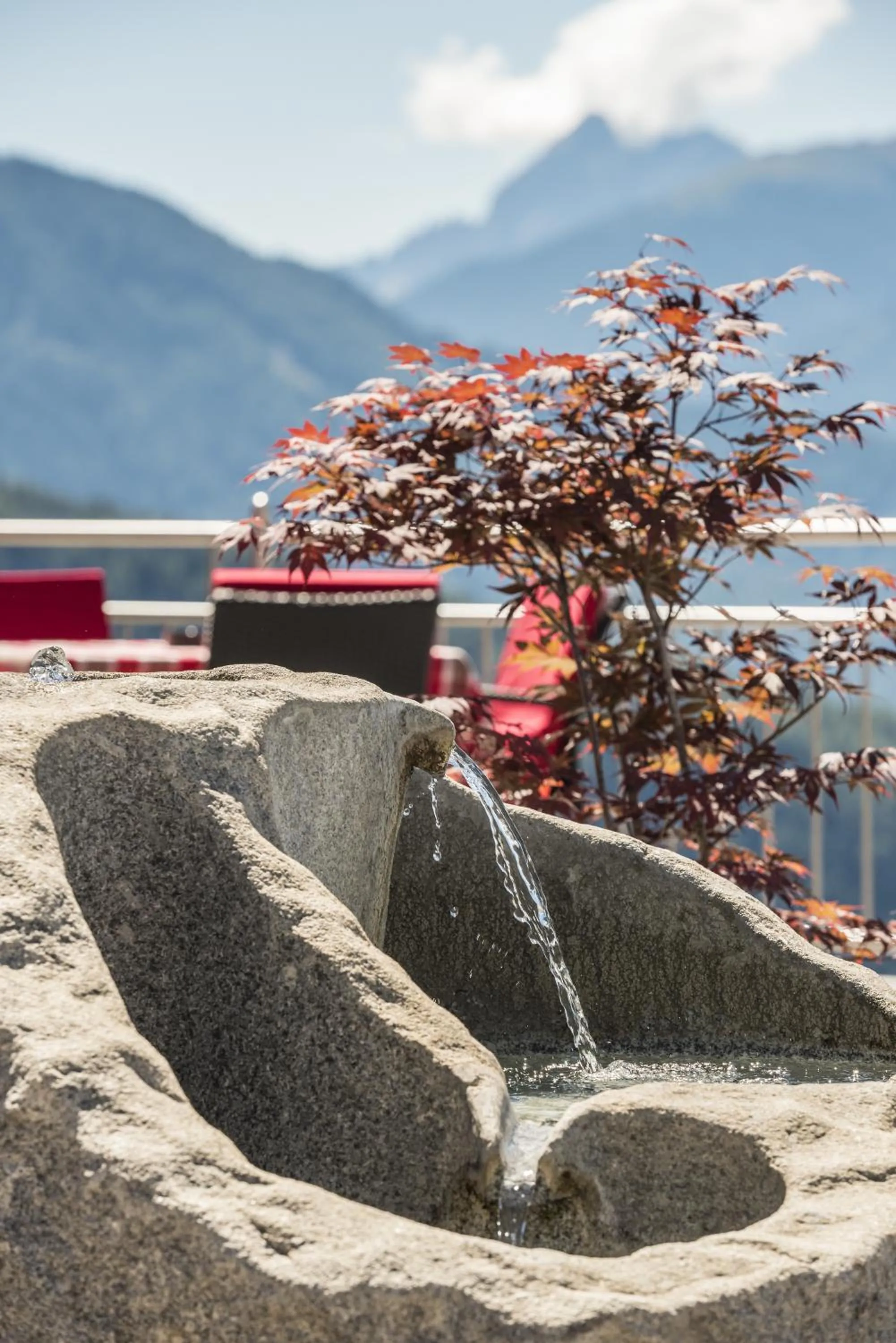 Garden in Panoramahotel Huberhof