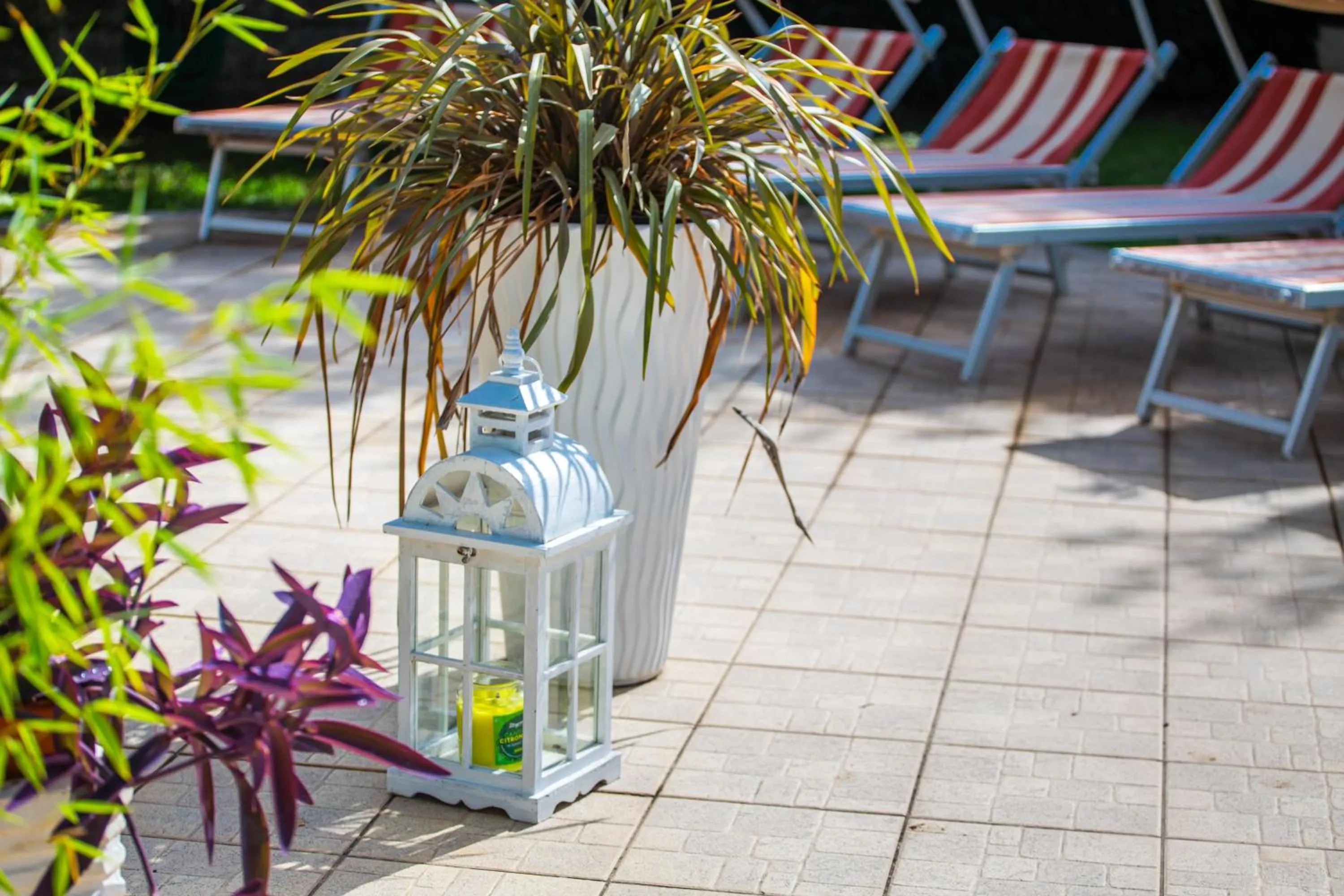 Solarium in I Lecci Guesthouse