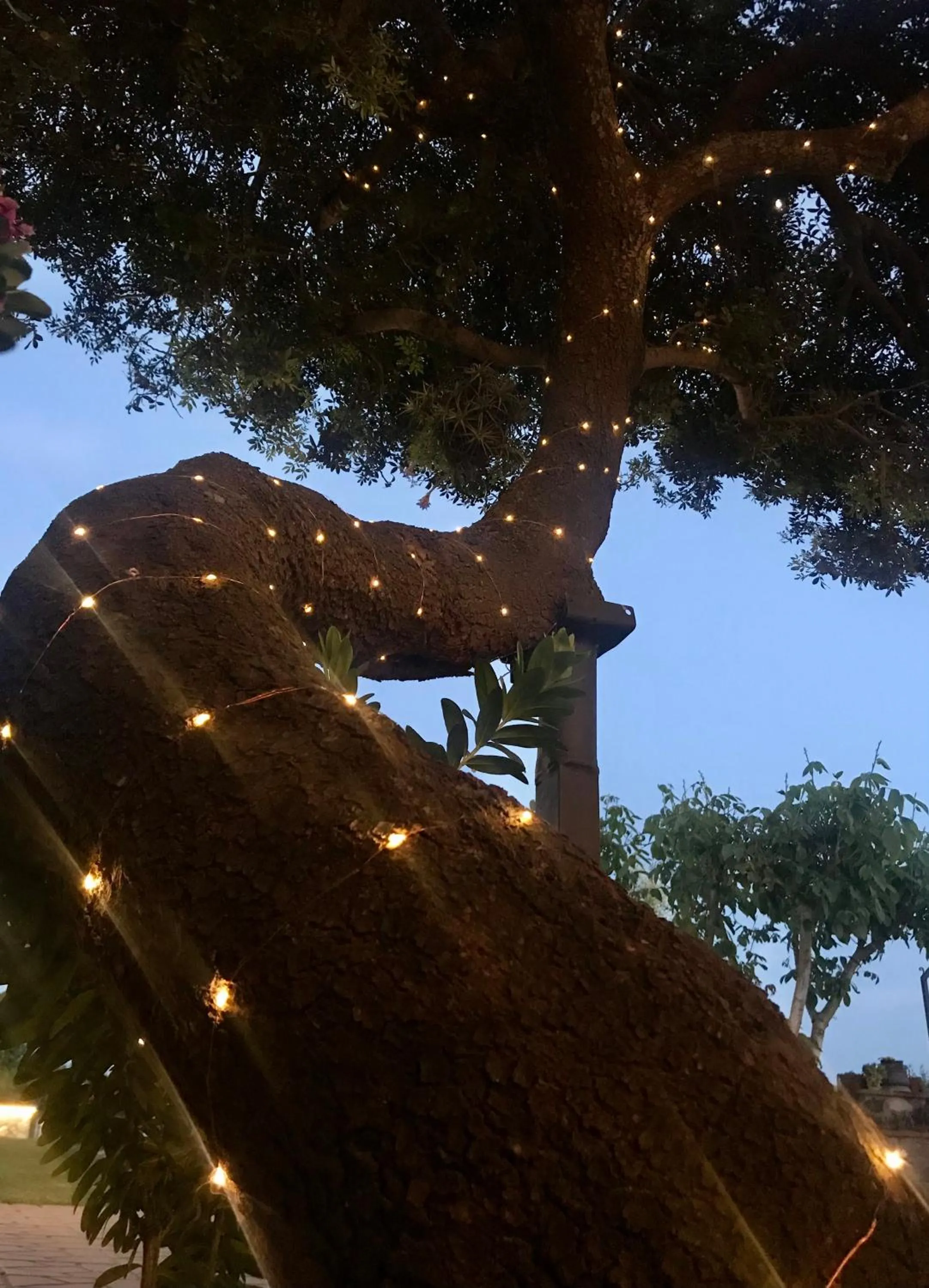 Garden in I Lecci Guesthouse