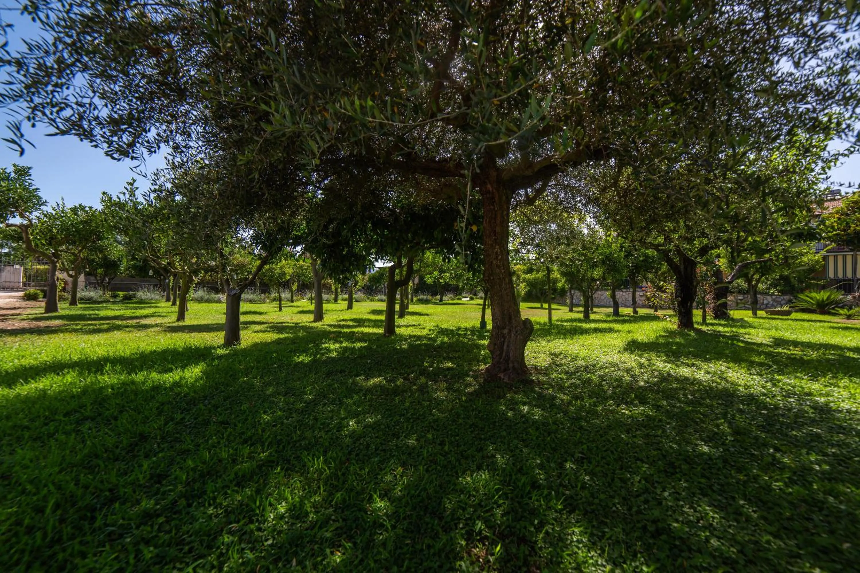 Garden in I Lecci Guesthouse