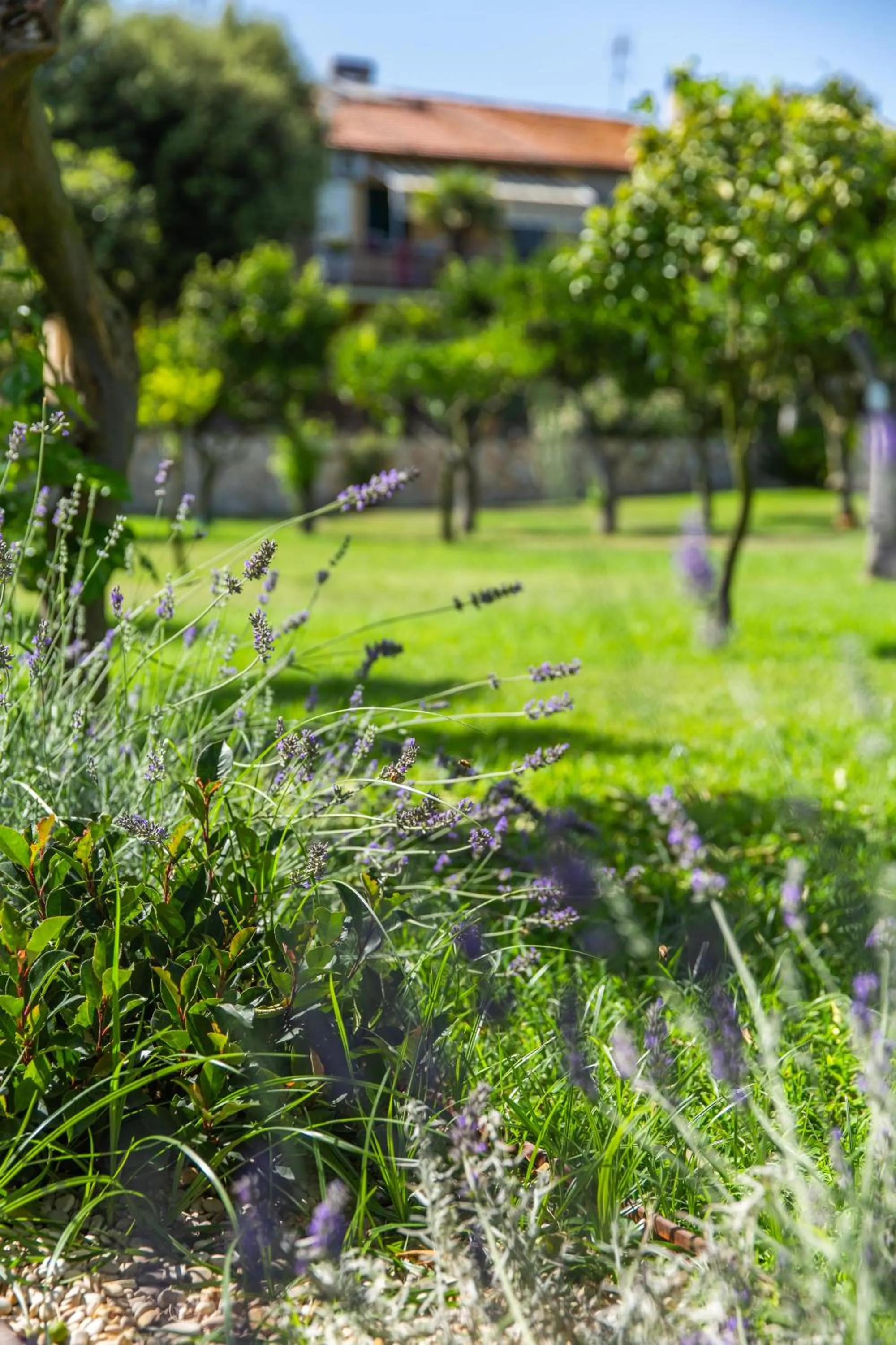 Garden in I Lecci Guesthouse