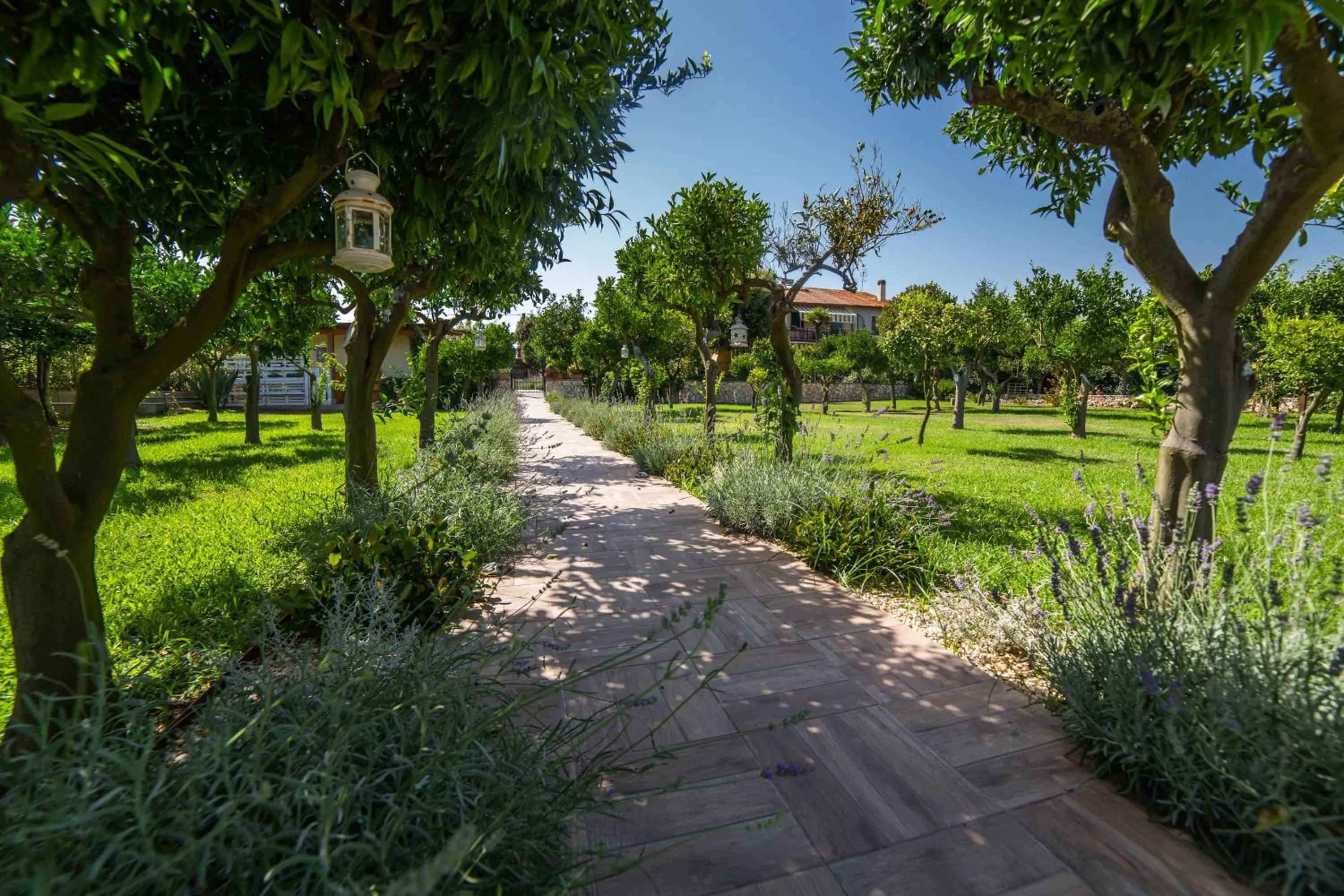 Garden view in I Lecci Guesthouse