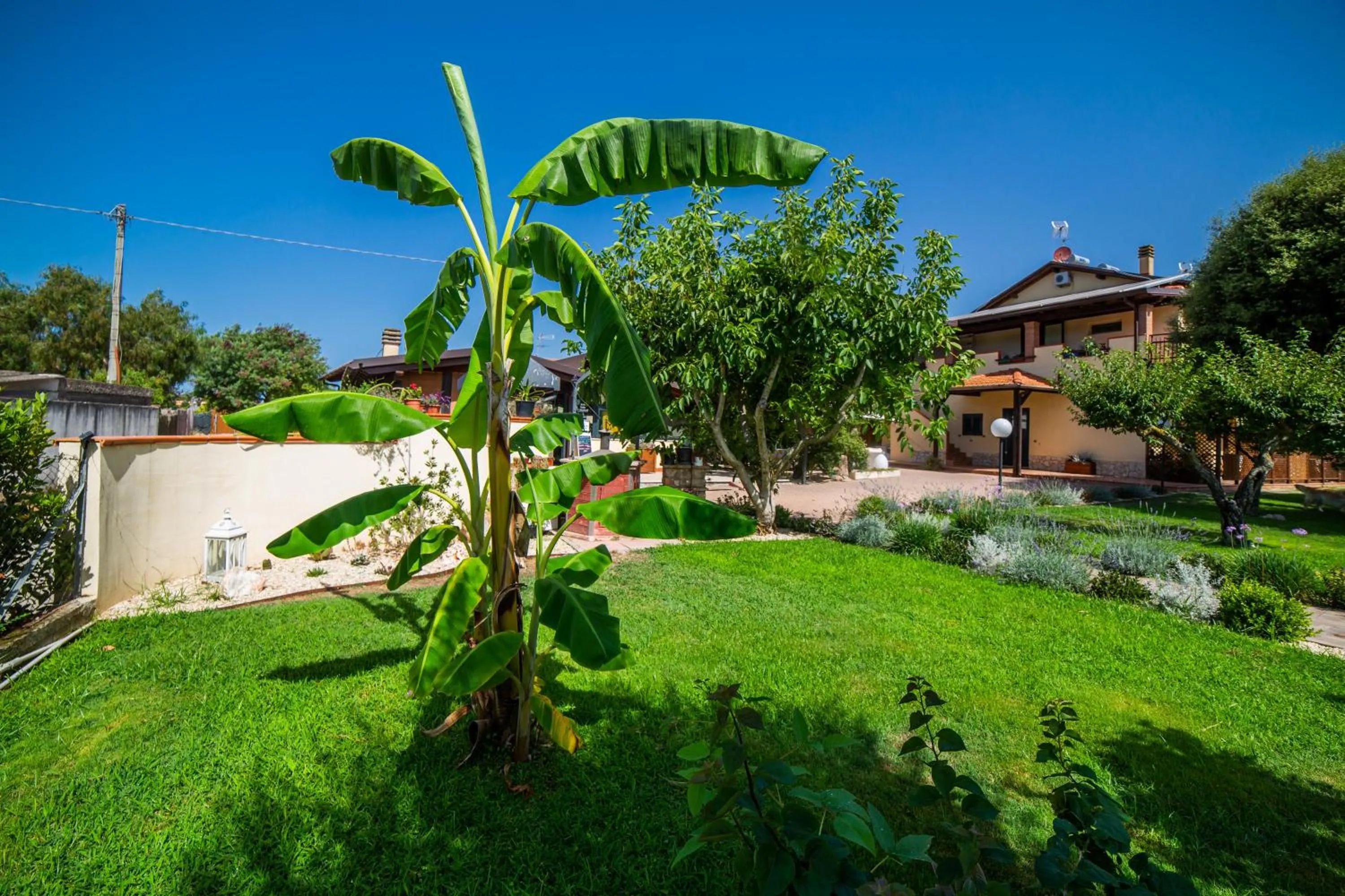 Garden in I Lecci Guesthouse