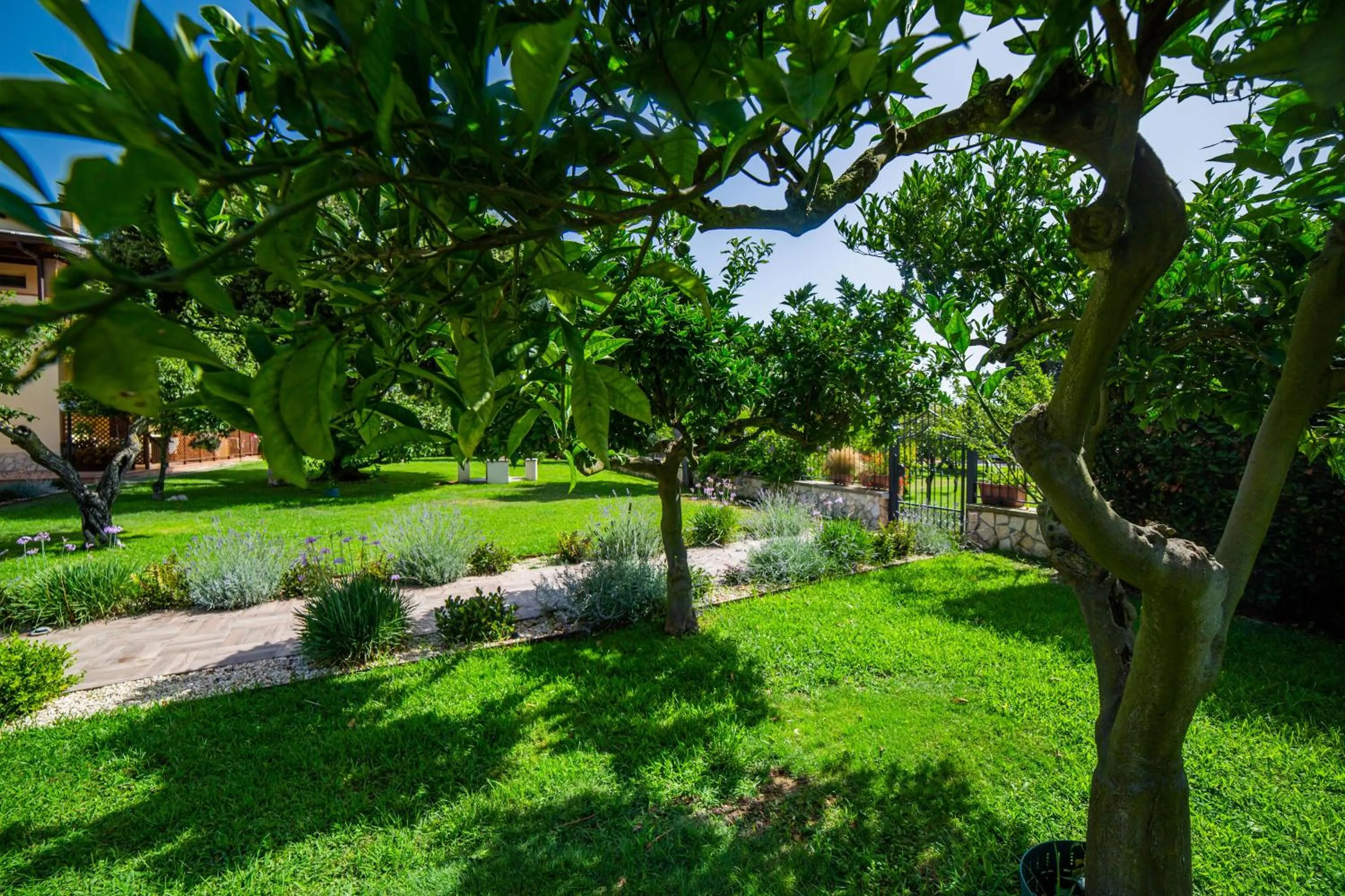 Garden in I Lecci Guesthouse
