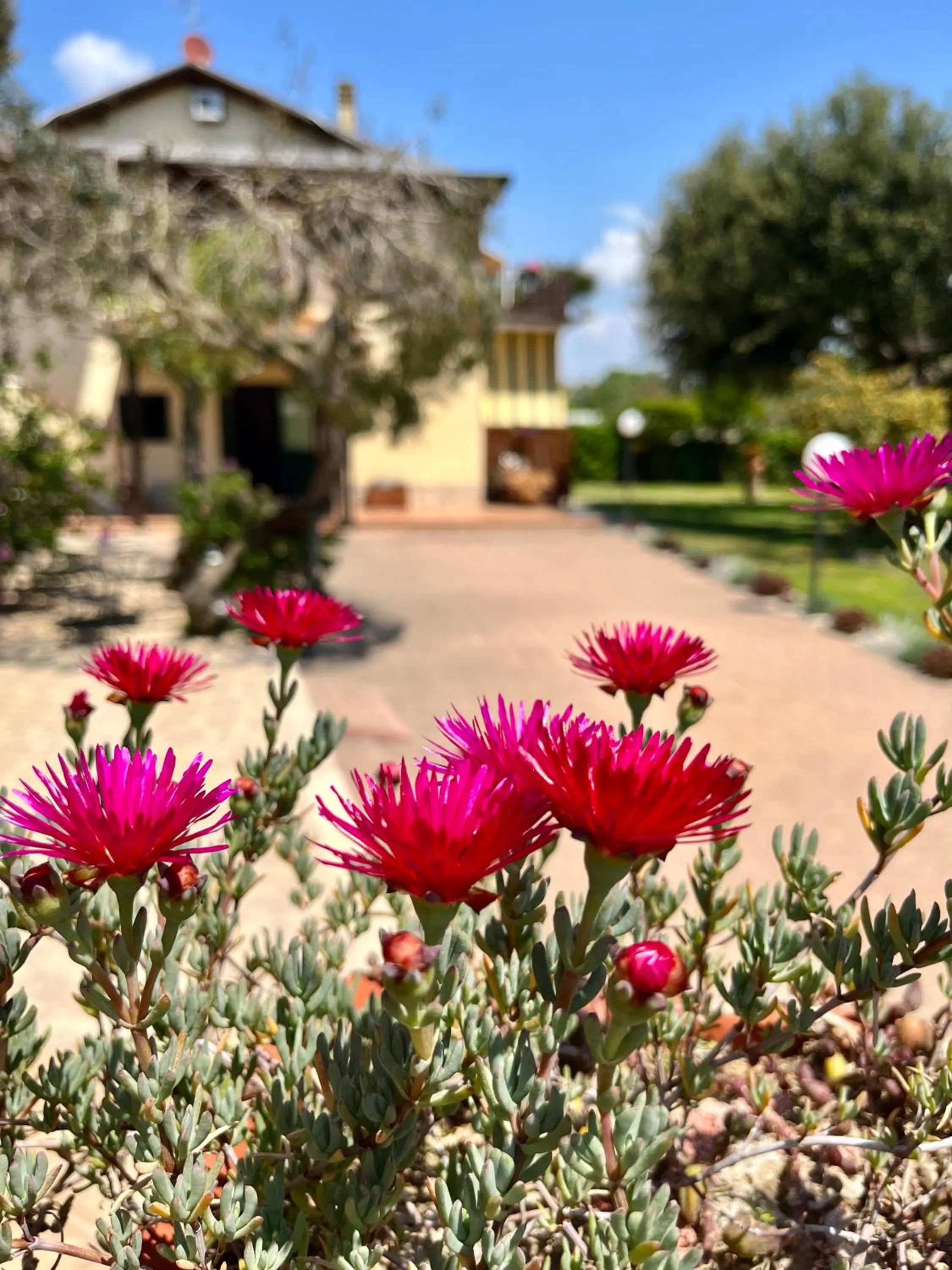 Garden in I Lecci Guesthouse
