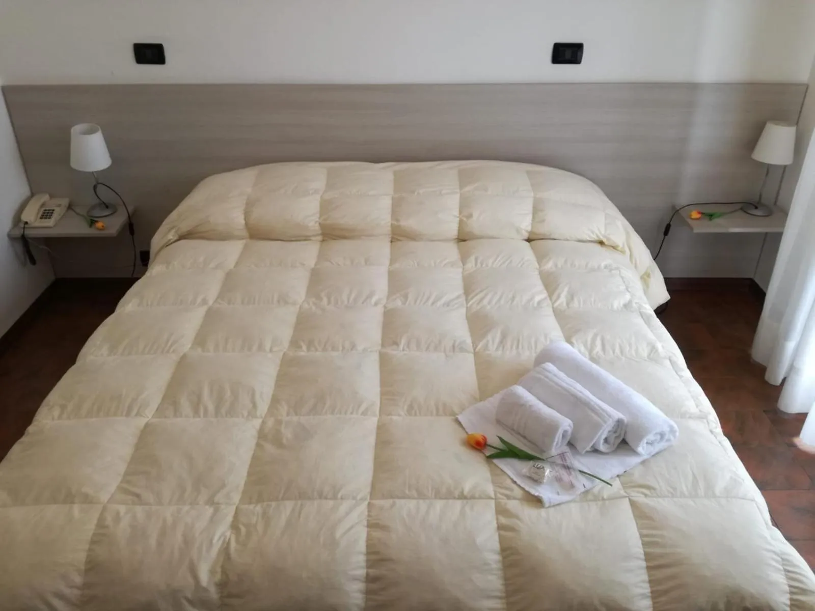 Photo of the whole room in Hotel Giulia