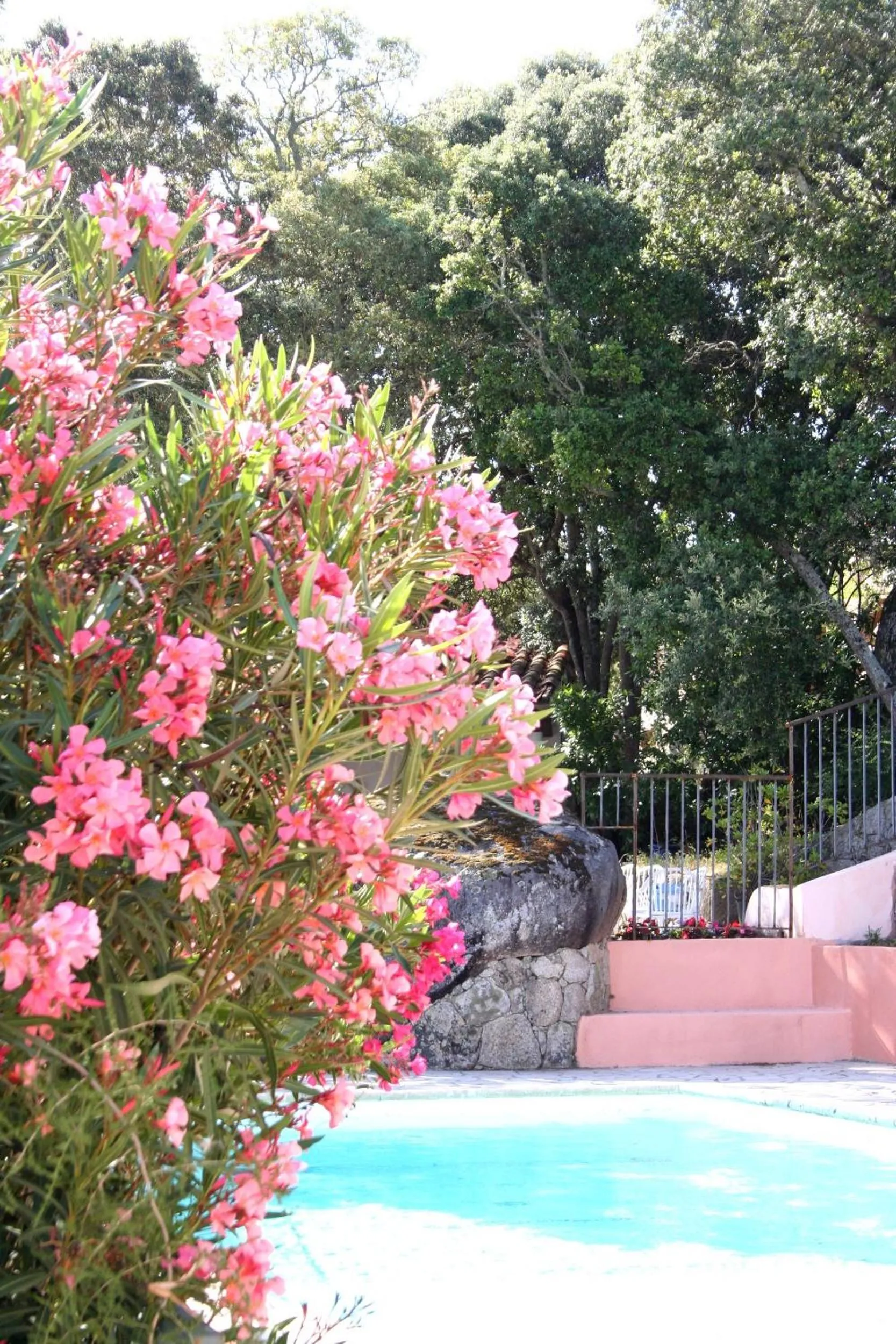Swimming pool in Résidence A Licetta
