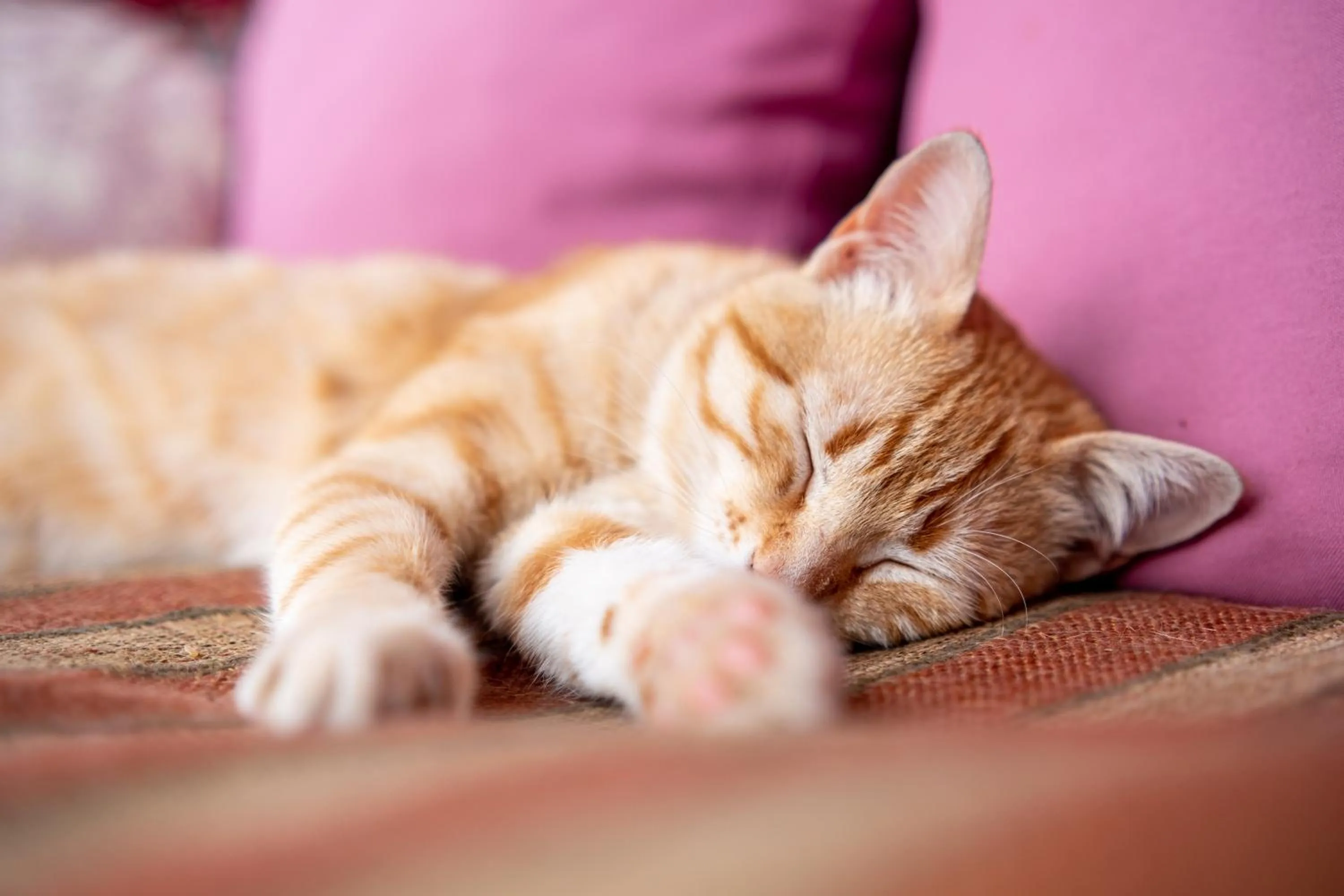 Property building in Villa Alto Boutique Hotel