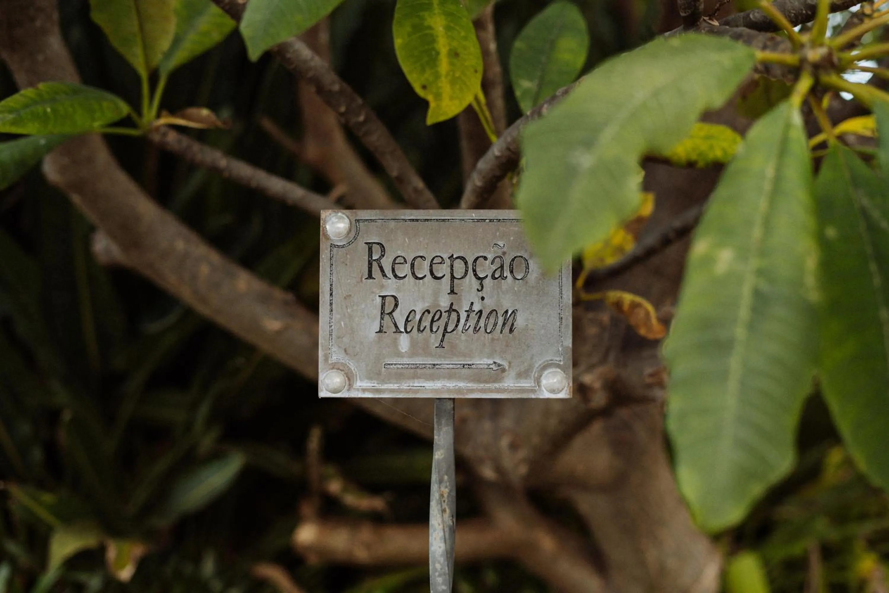 Property building in Villa Alto Boutique Hotel