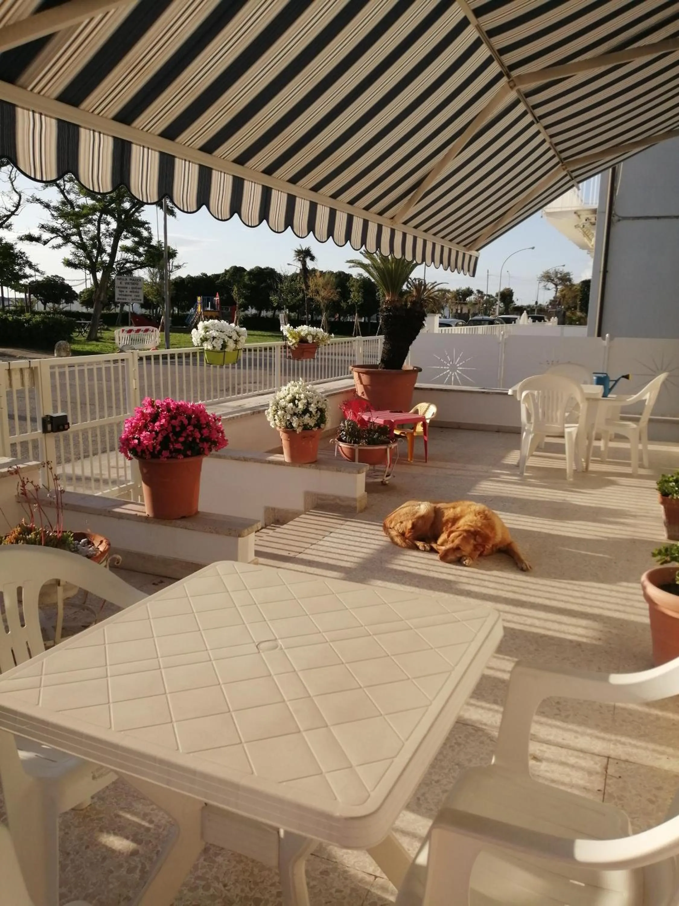 Balcony/Terrace in B&B GALLETTO