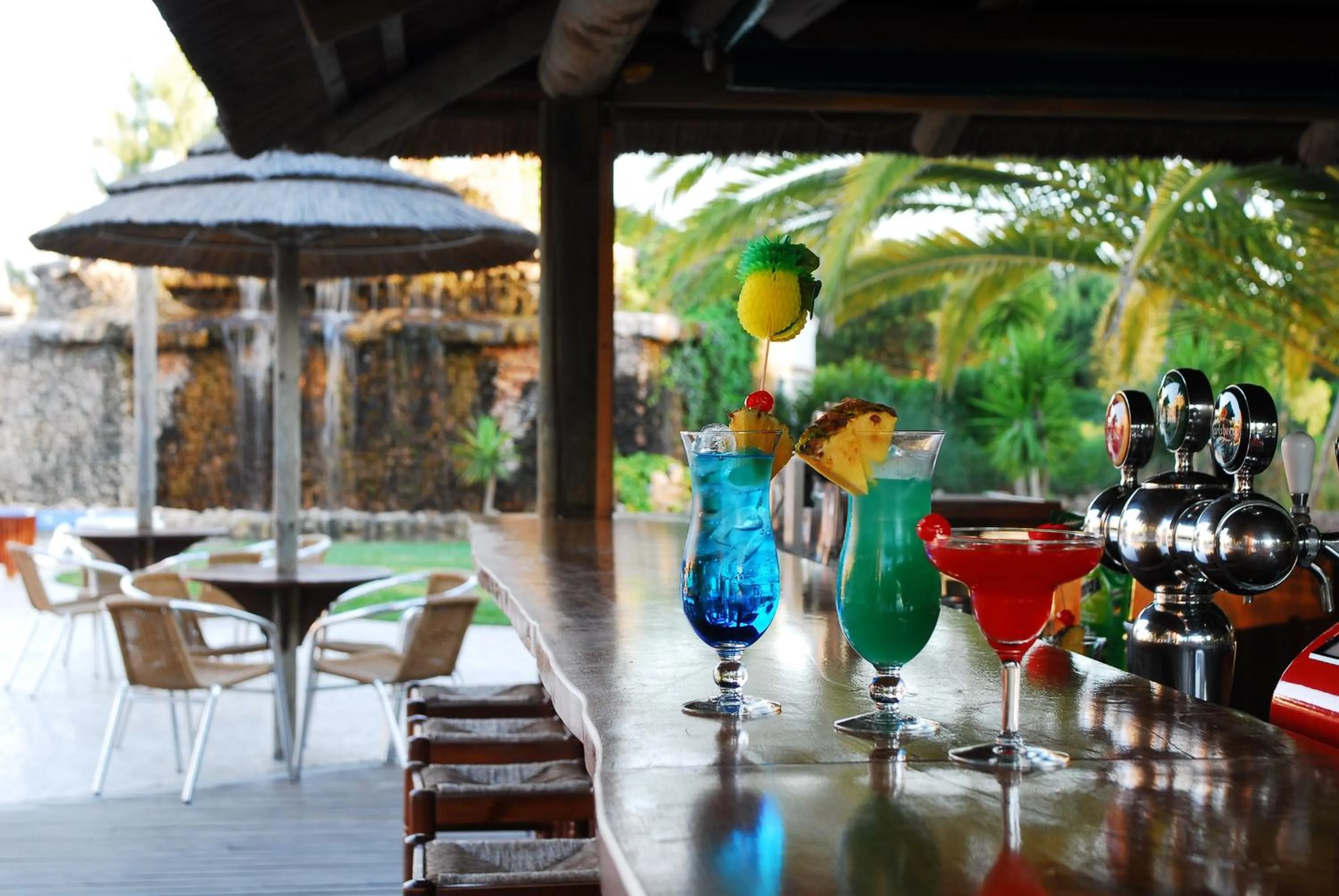 Lounge or bar in Falésia Hotel - Adults Only