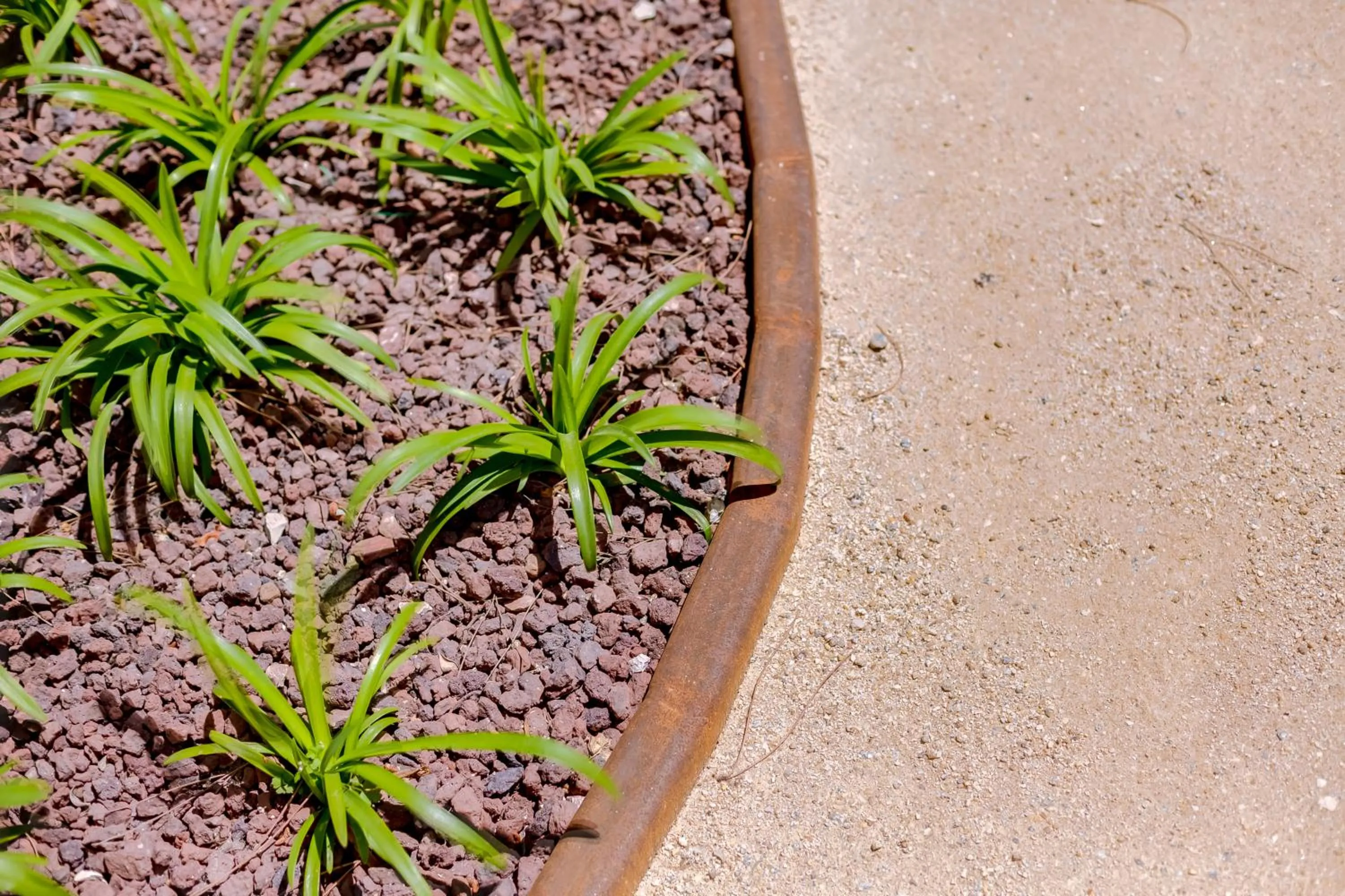 Garden in Falésia Hotel - Adults Only