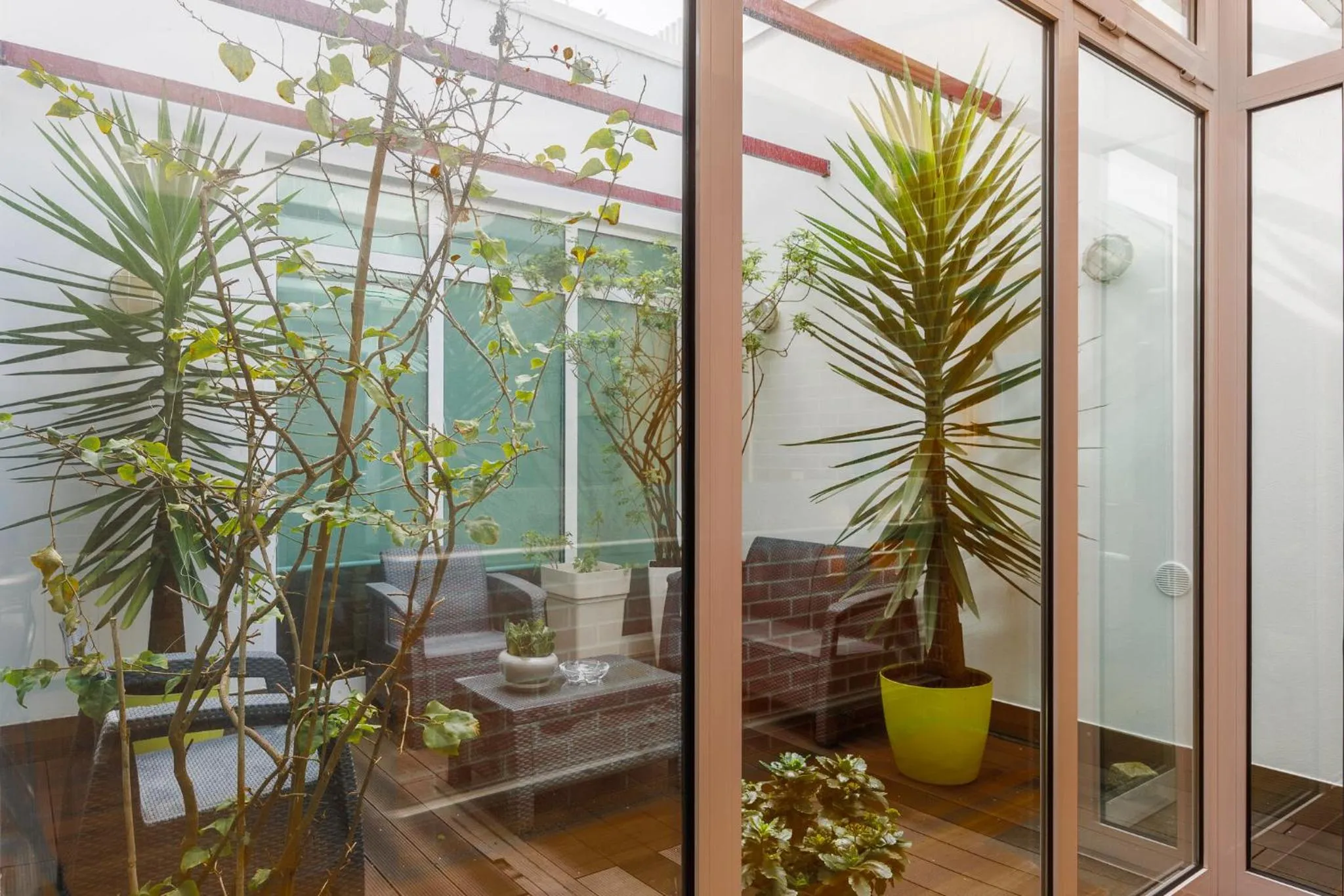 Garden in Costa Nova Hotel