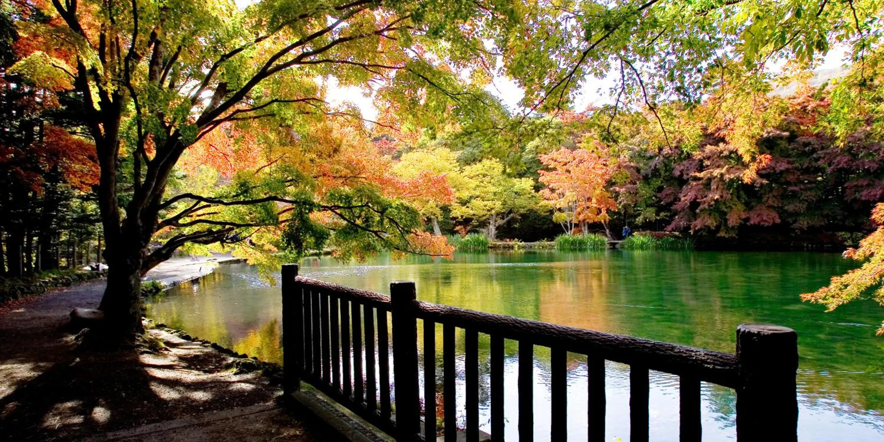 Lake view in Hotel Cypress Karuizawa