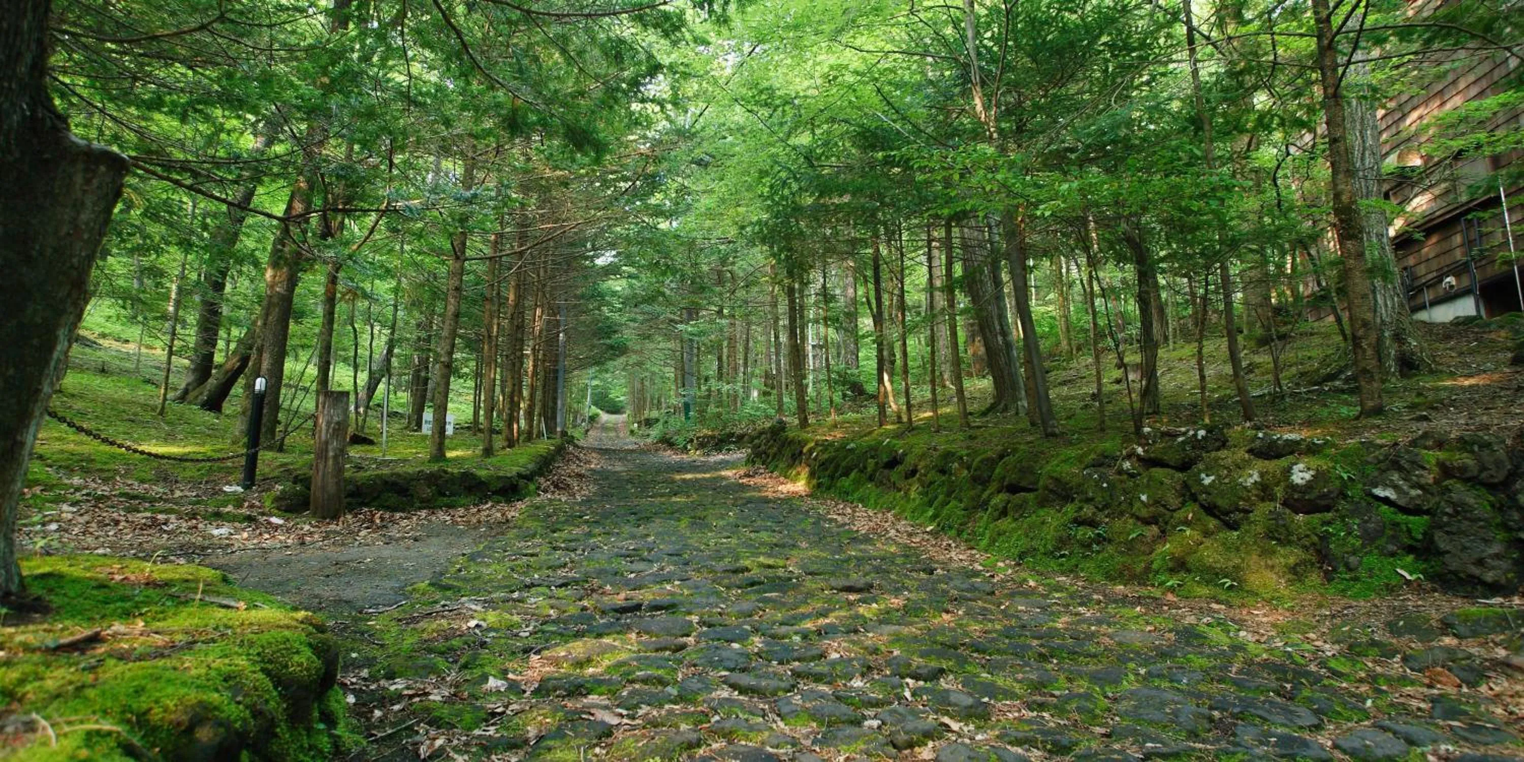 View (from property/room) in Hotel Cypress Karuizawa