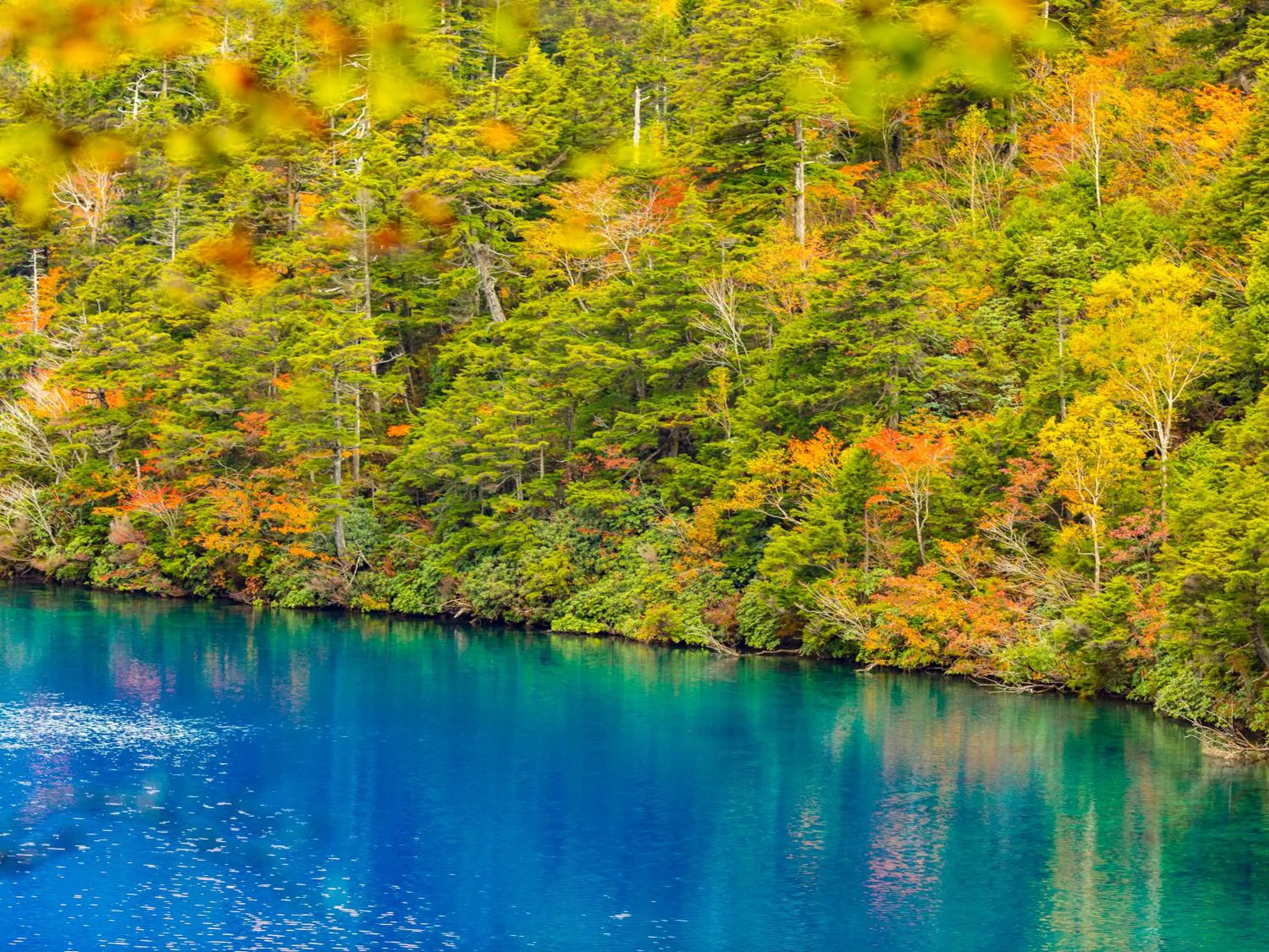 Nearby landmark in Minshuku Miyama