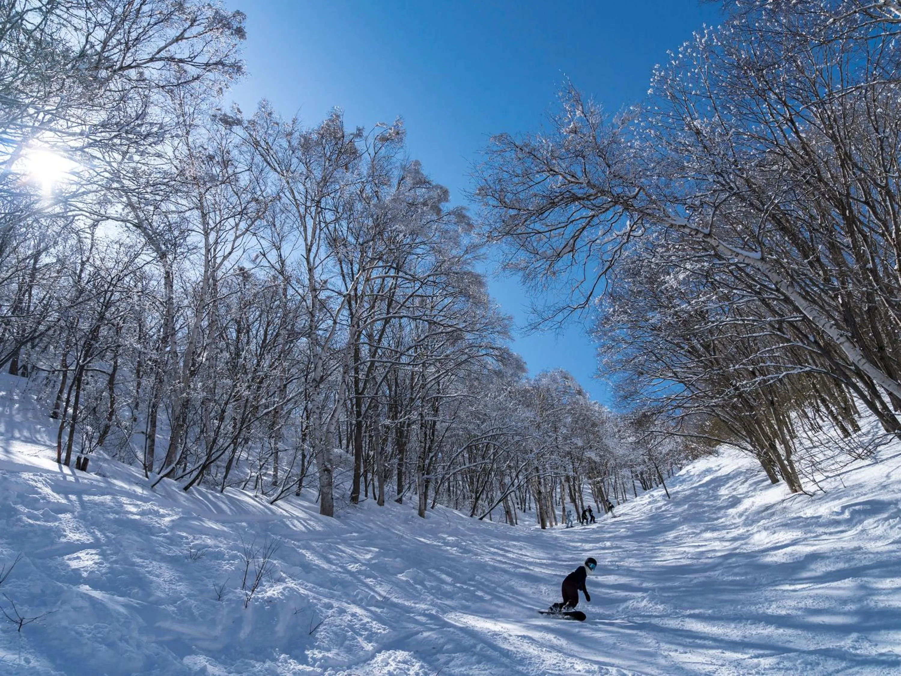 Skiing in Minshuku Miyama