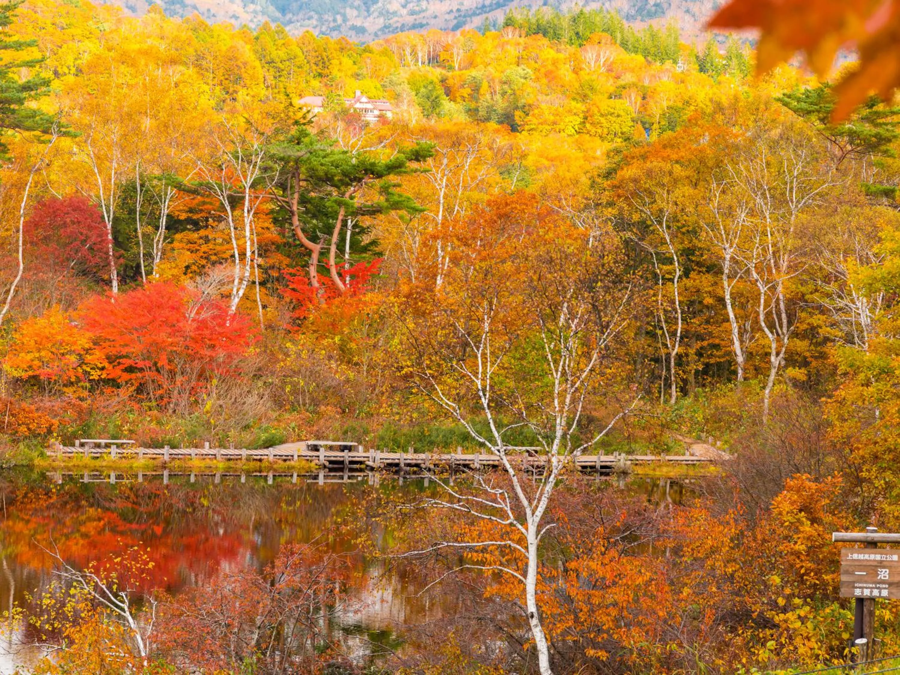 Nearby landmark in Minshuku Miyama