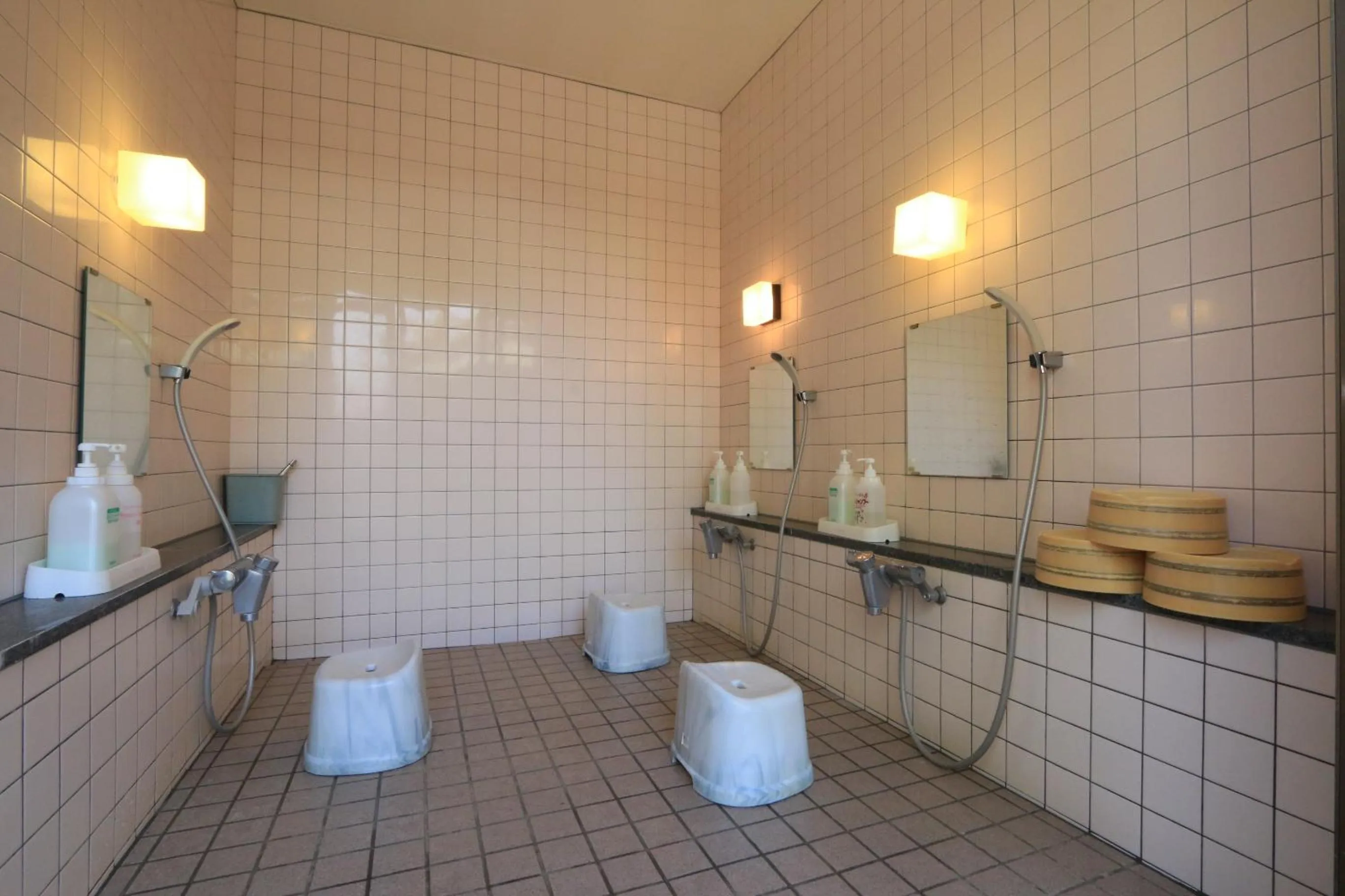 Spa and wellness centre/facilities in Minshuku Miyama