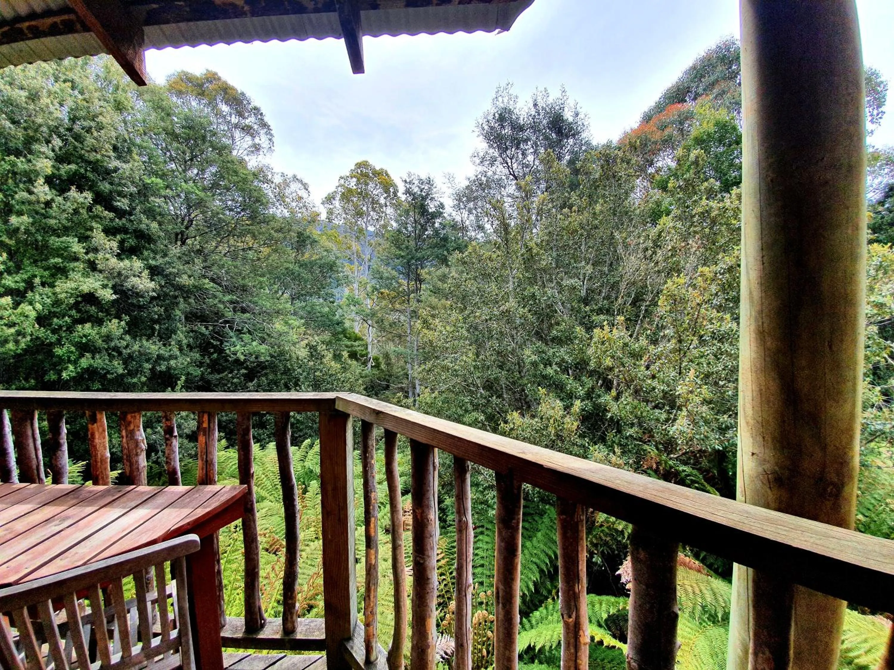 Natural landscape in Lemonthyme Wilderness Retreat