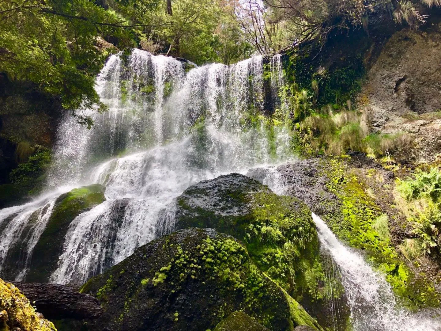 Natural landscape in Lemonthyme Wilderness Retreat