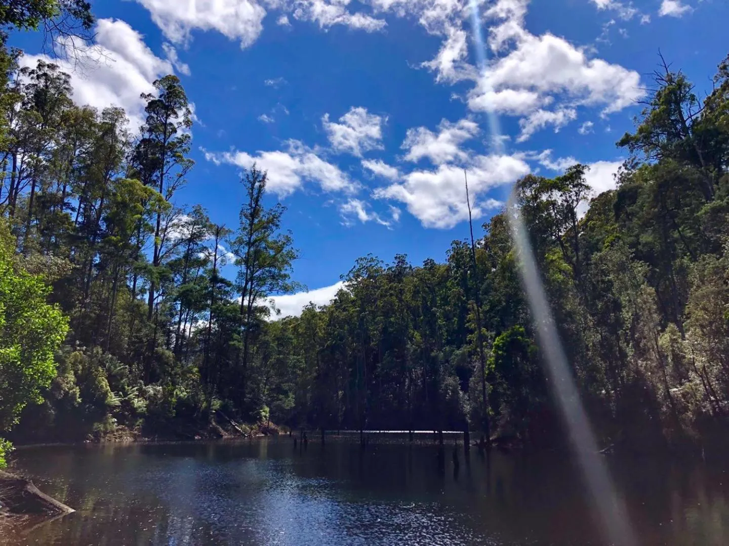 Natural landscape in Lemonthyme Wilderness Retreat