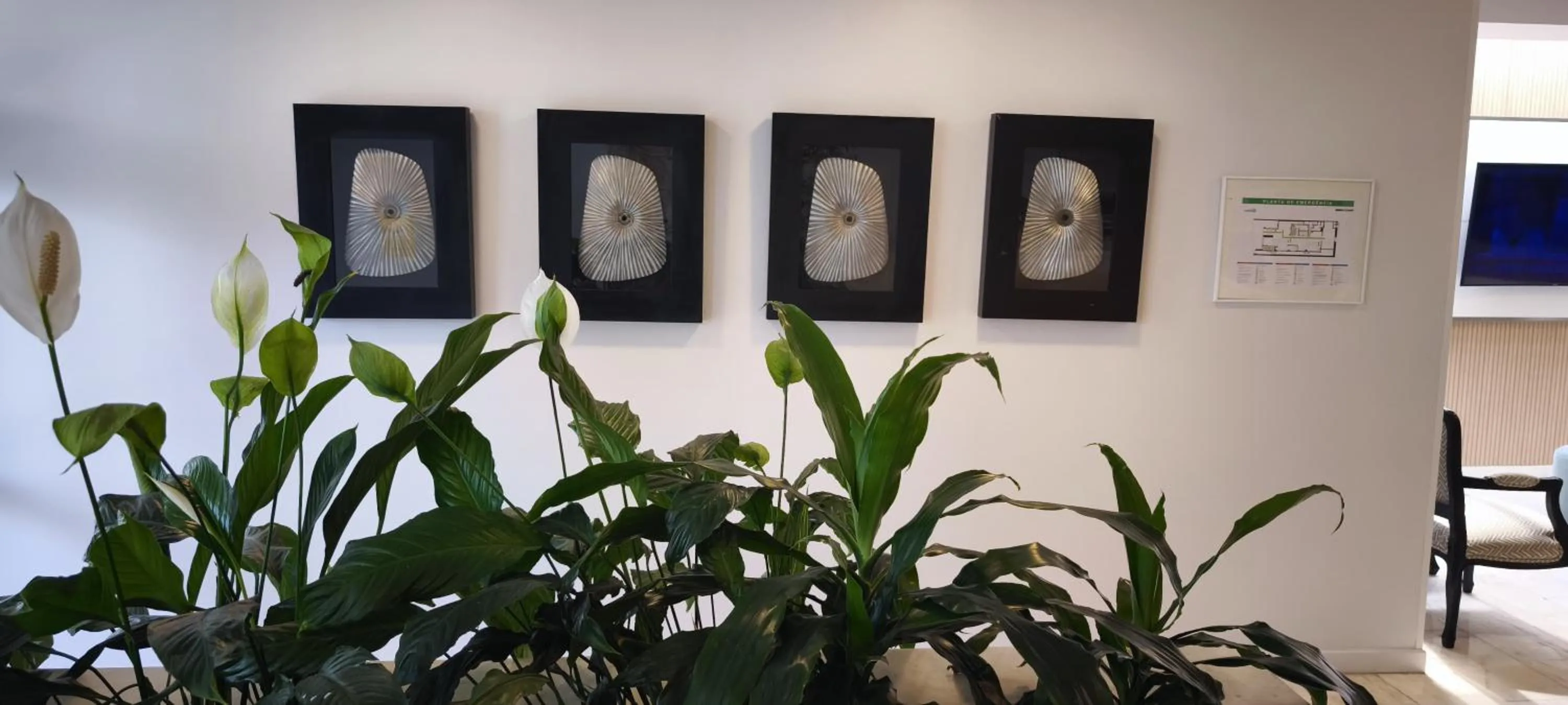 Lobby or reception in Hotel São Mamede Estoril