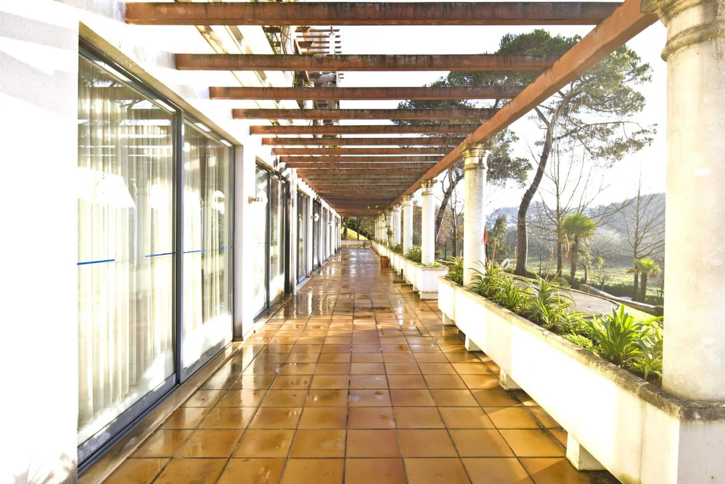 Balcony/Terrace in Lam Hotel Estarreja