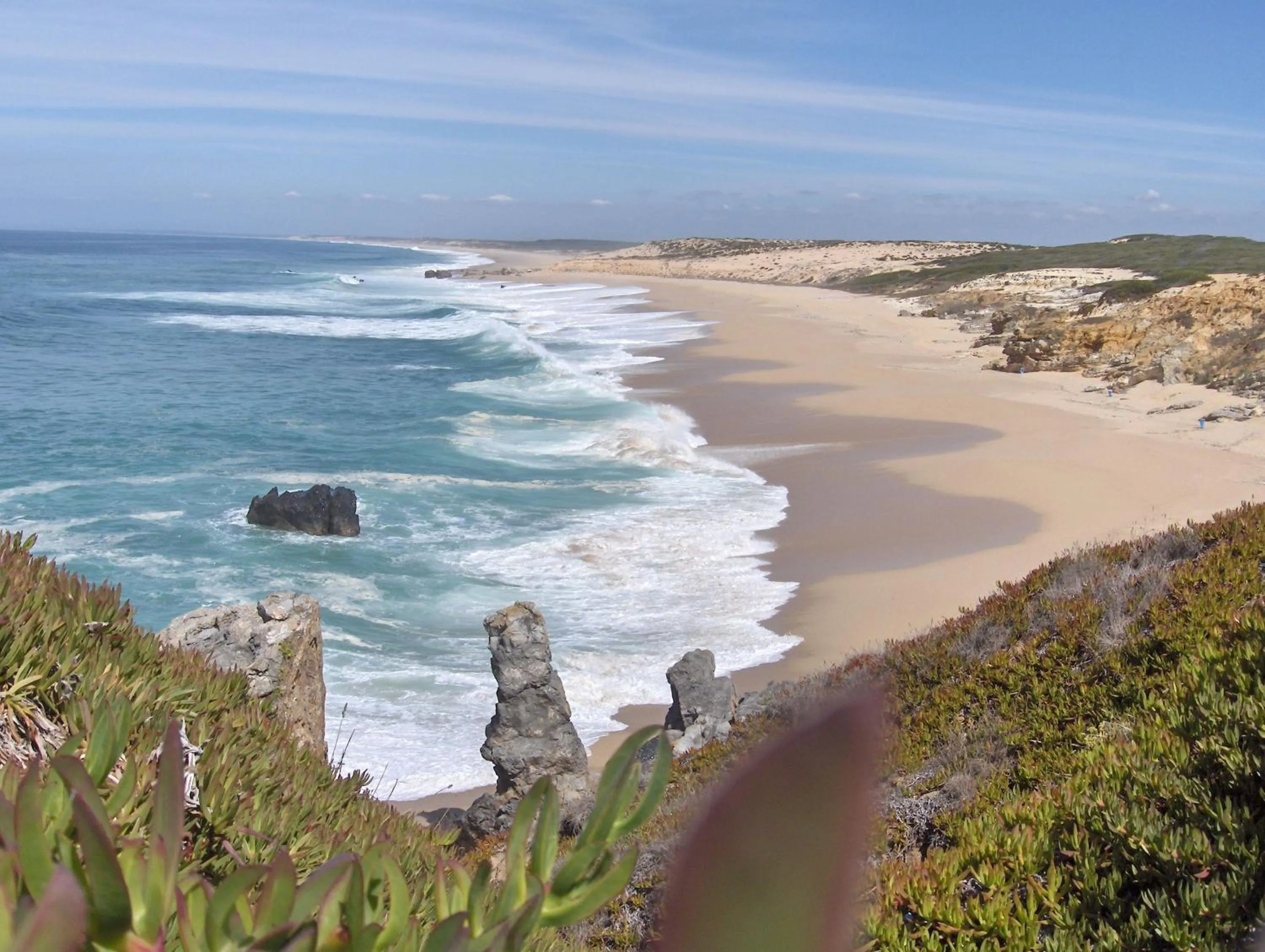 Area and facilities in AP Sines - Costa Alentejana