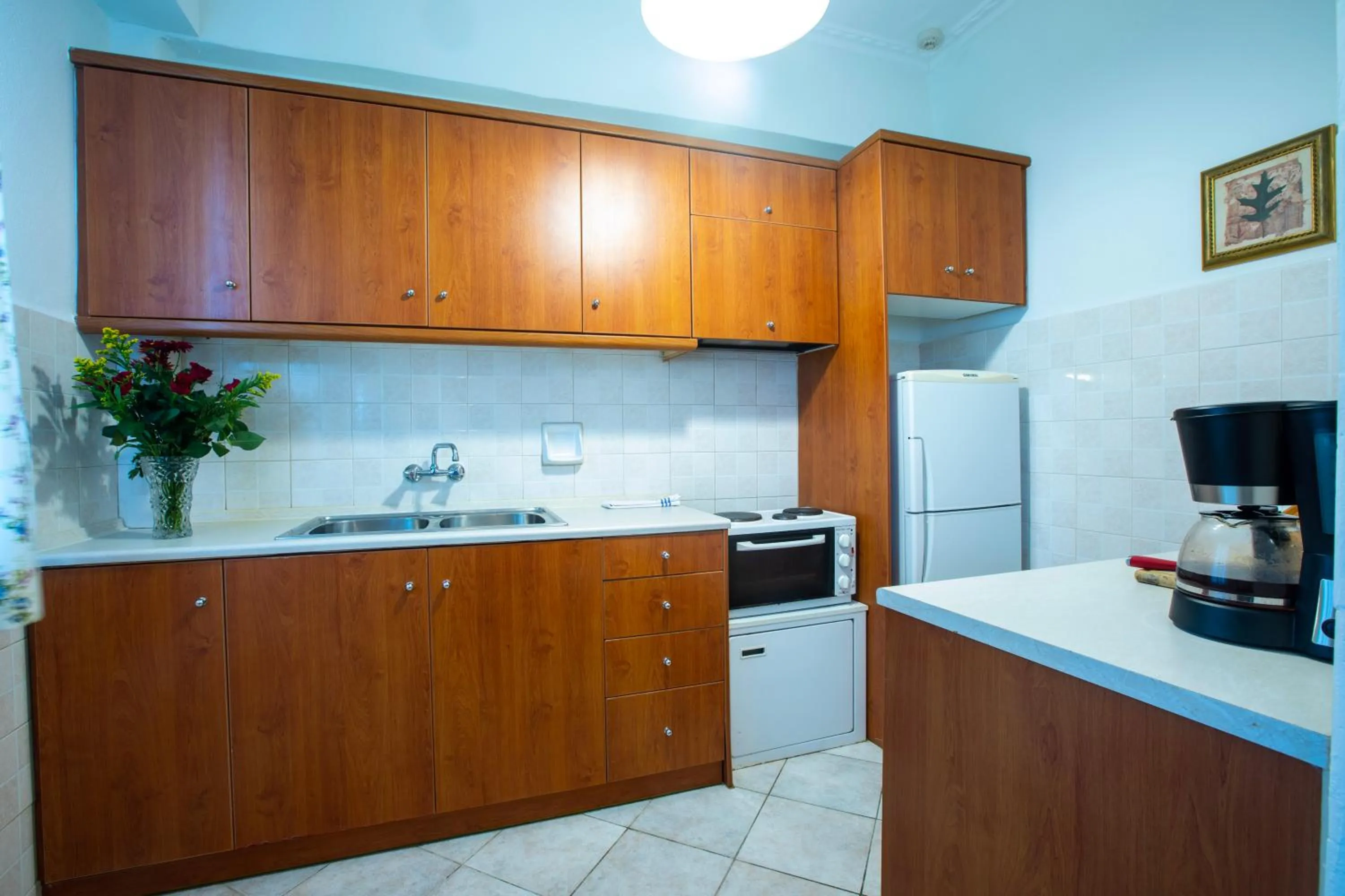 Kitchen or kitchenette in Kastro Apartments
