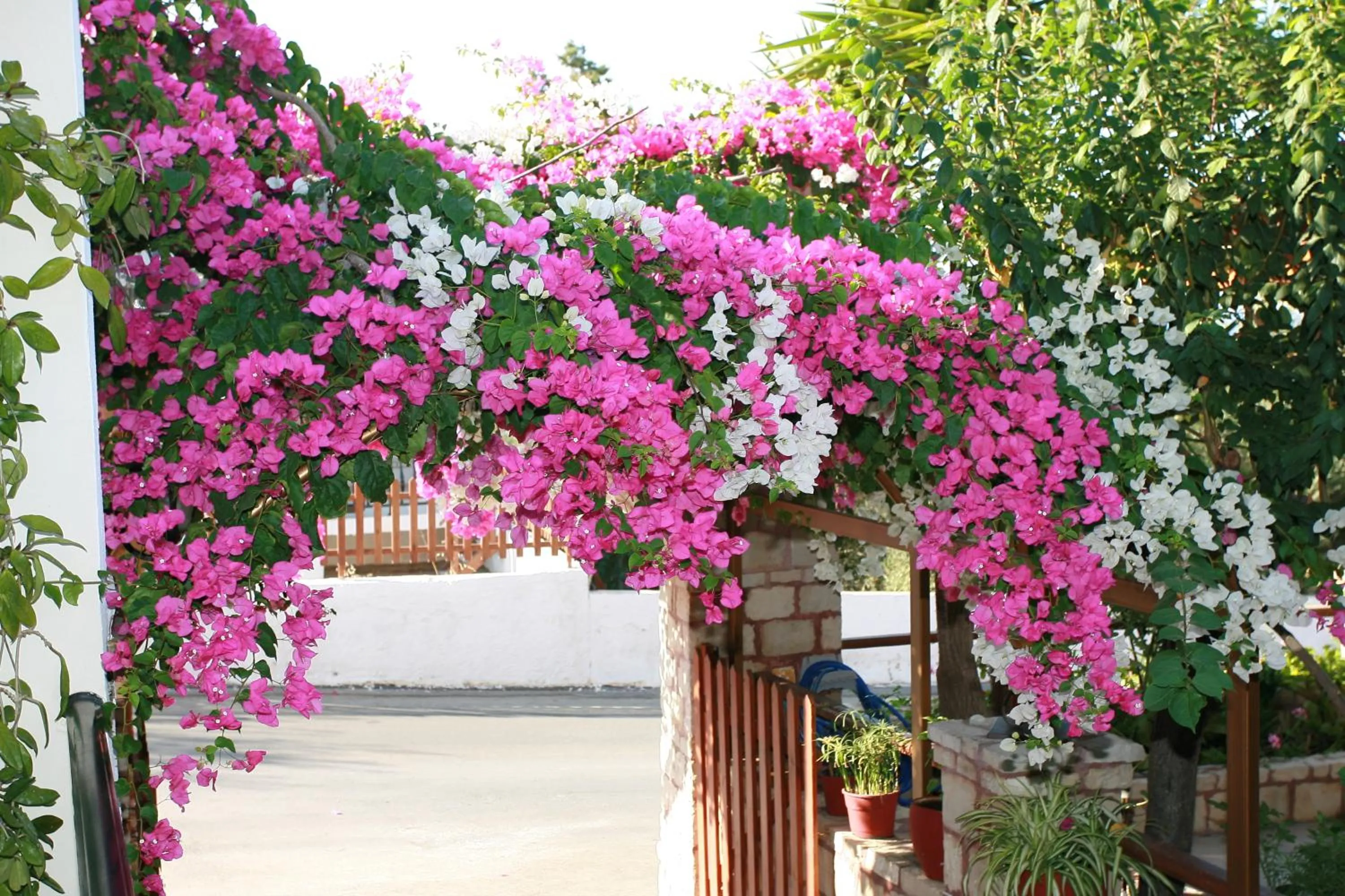 Garden in Kastro Apartments