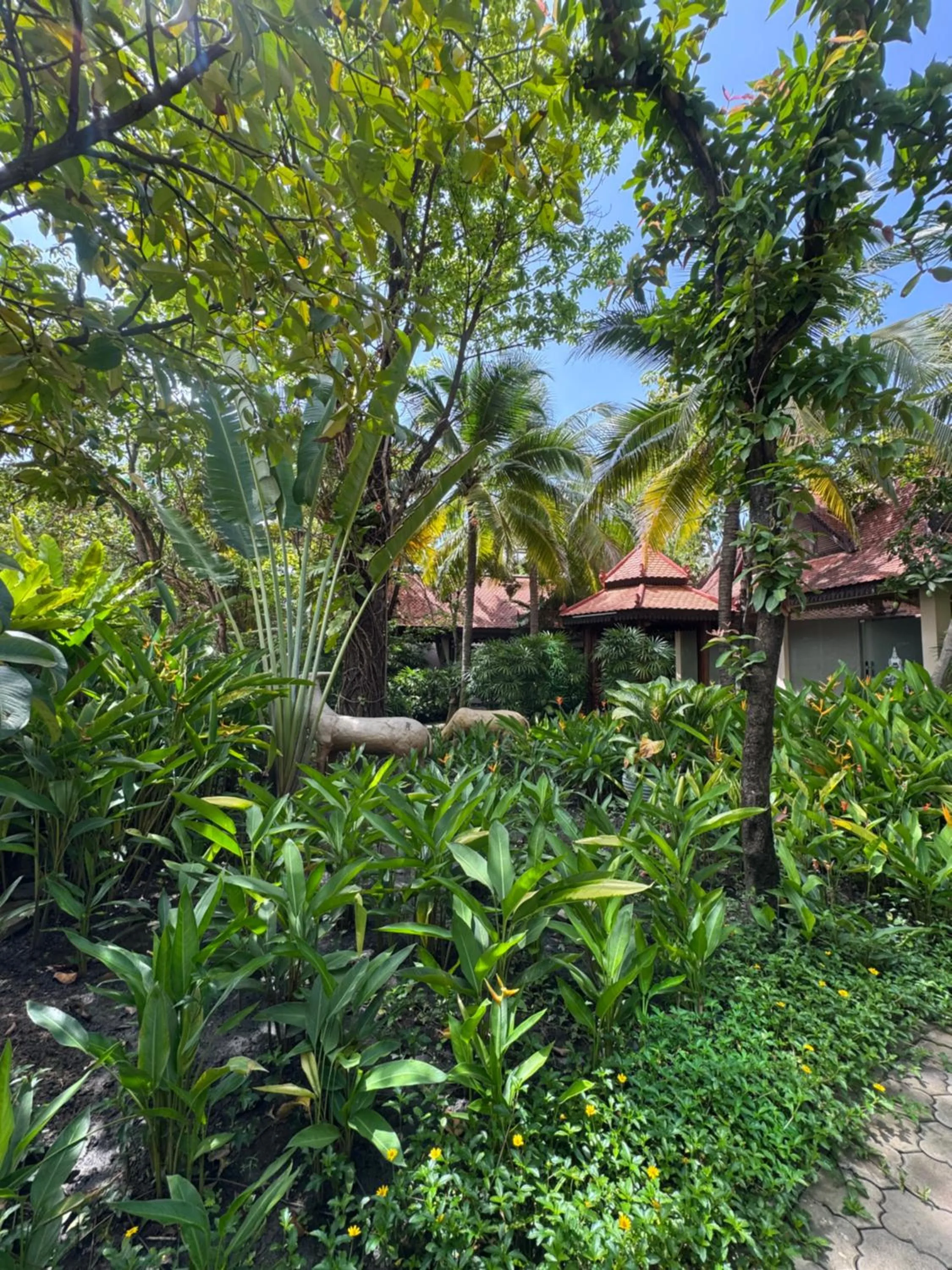 Garden in Somadevi Angkor Premium