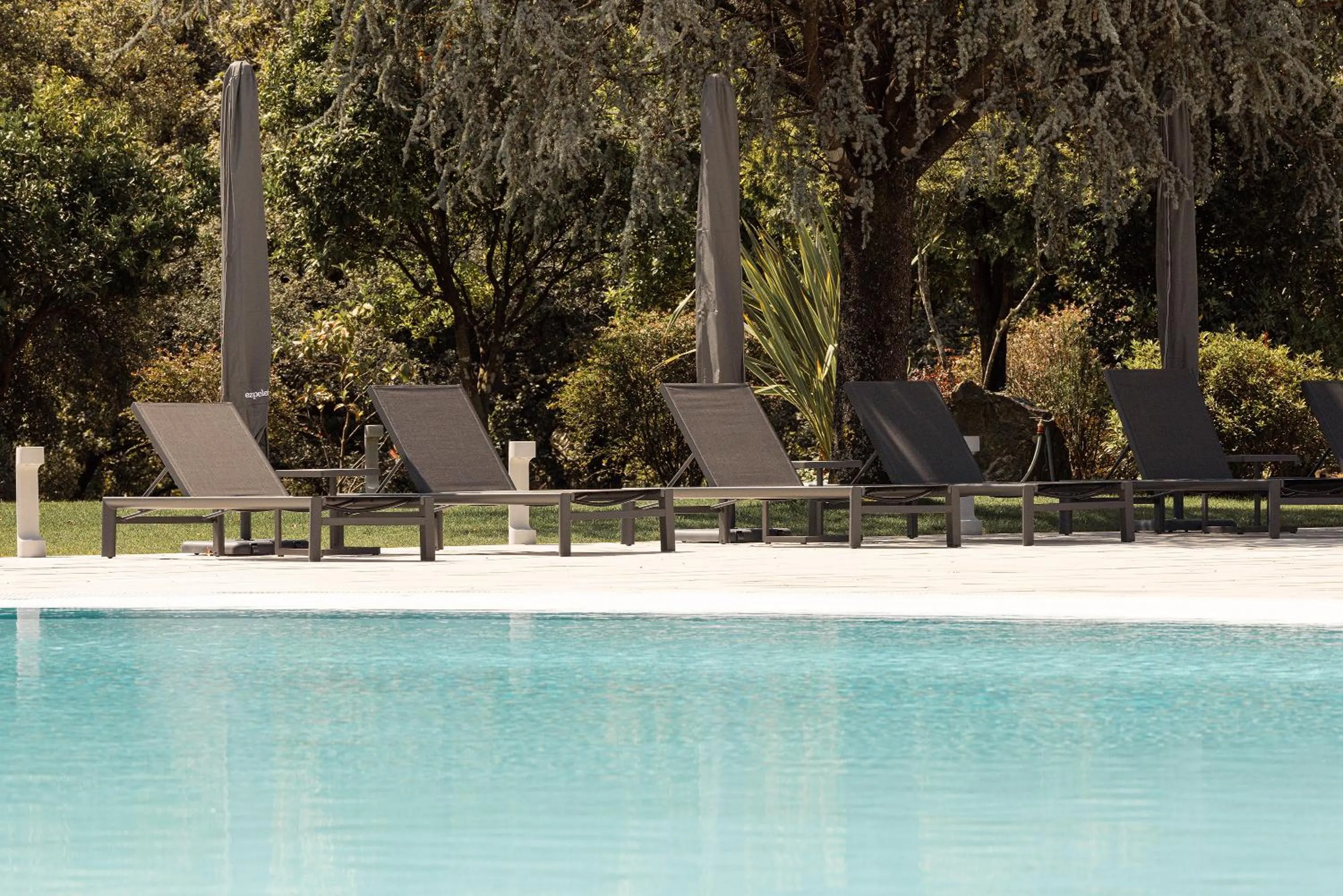 Pool view in The Lince Braga