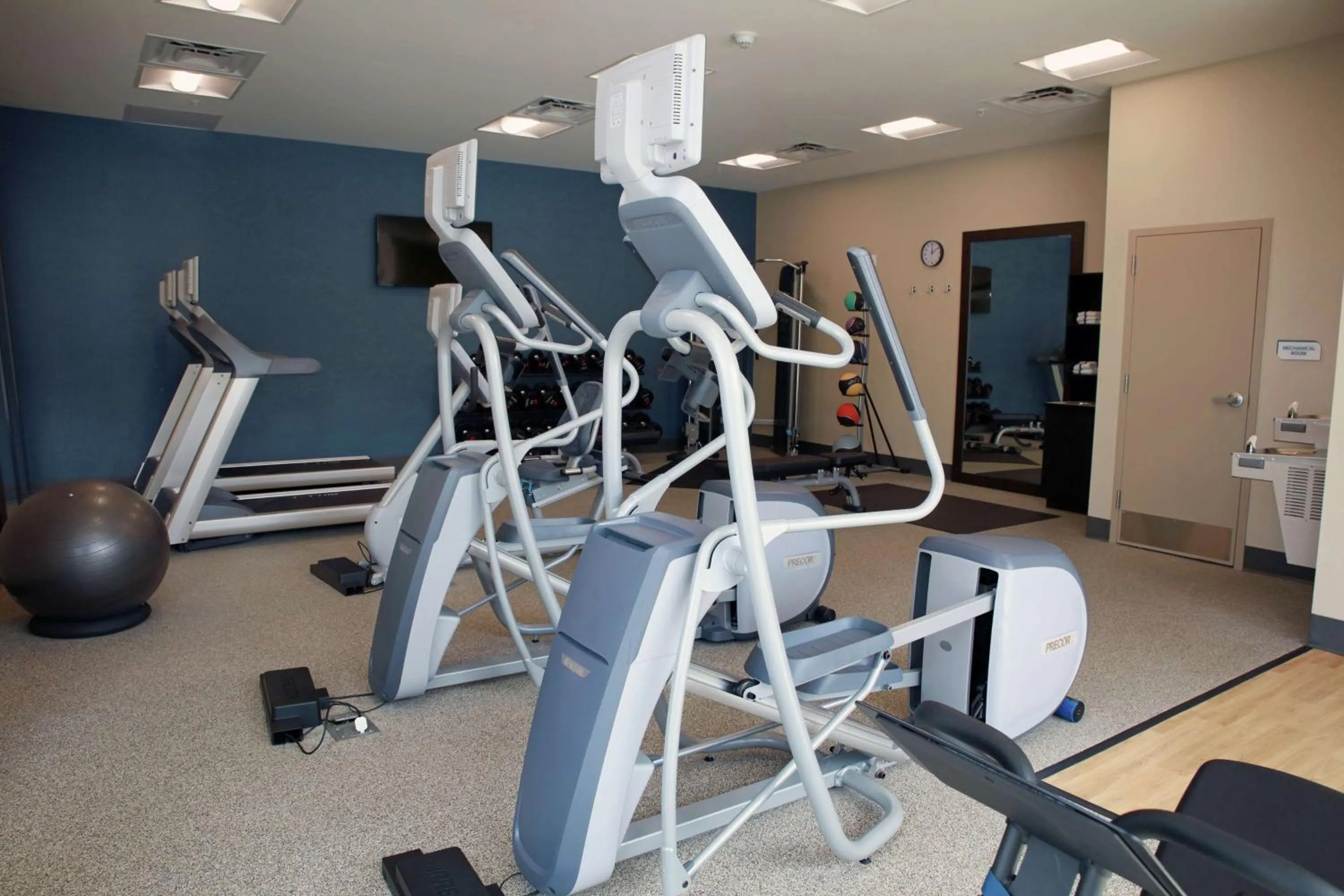 Fitness centre/facilities in Hilton Garden Inn Tampa - Wesley Chapel