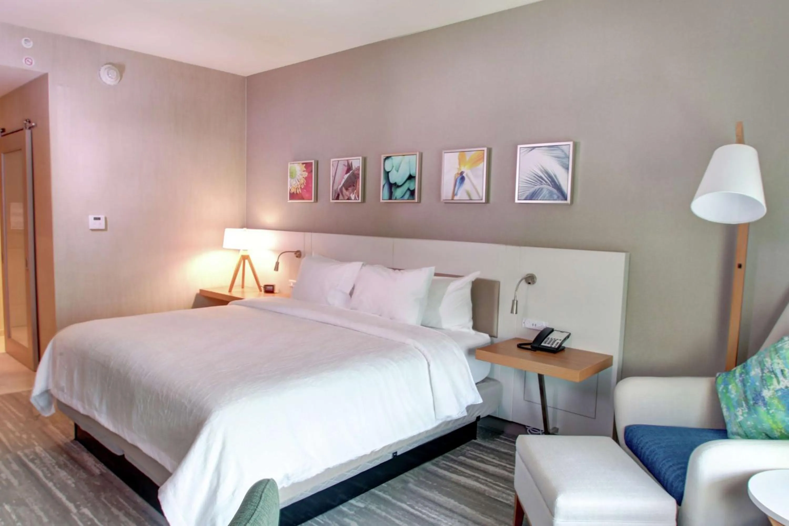 Bed in Hilton Garden Inn Tampa - Wesley Chapel