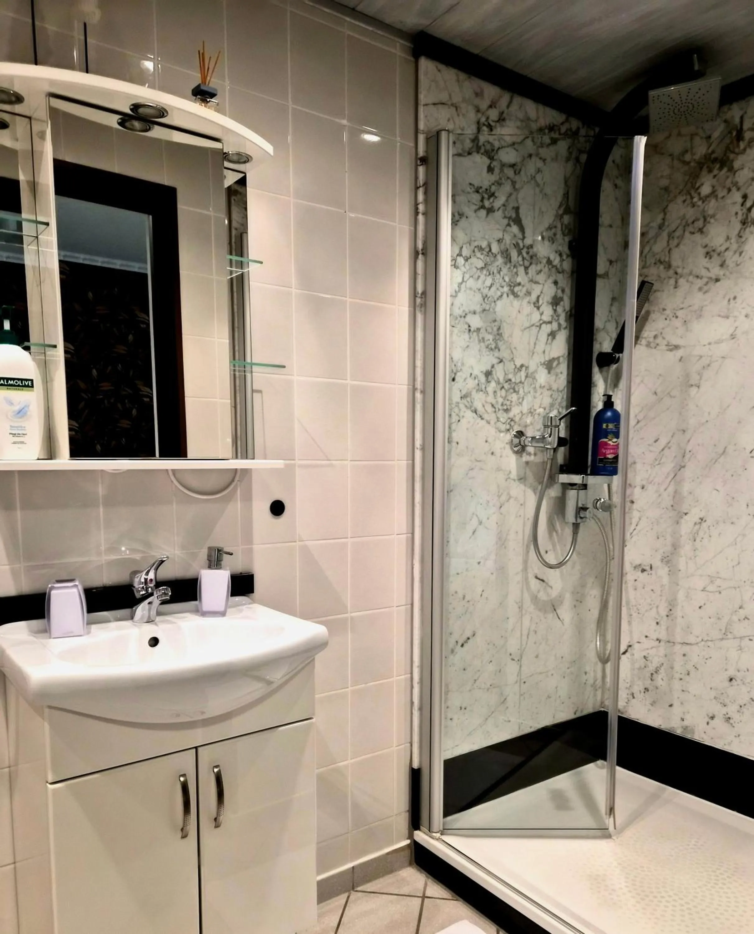 Shower in Hotel Schloßschenke