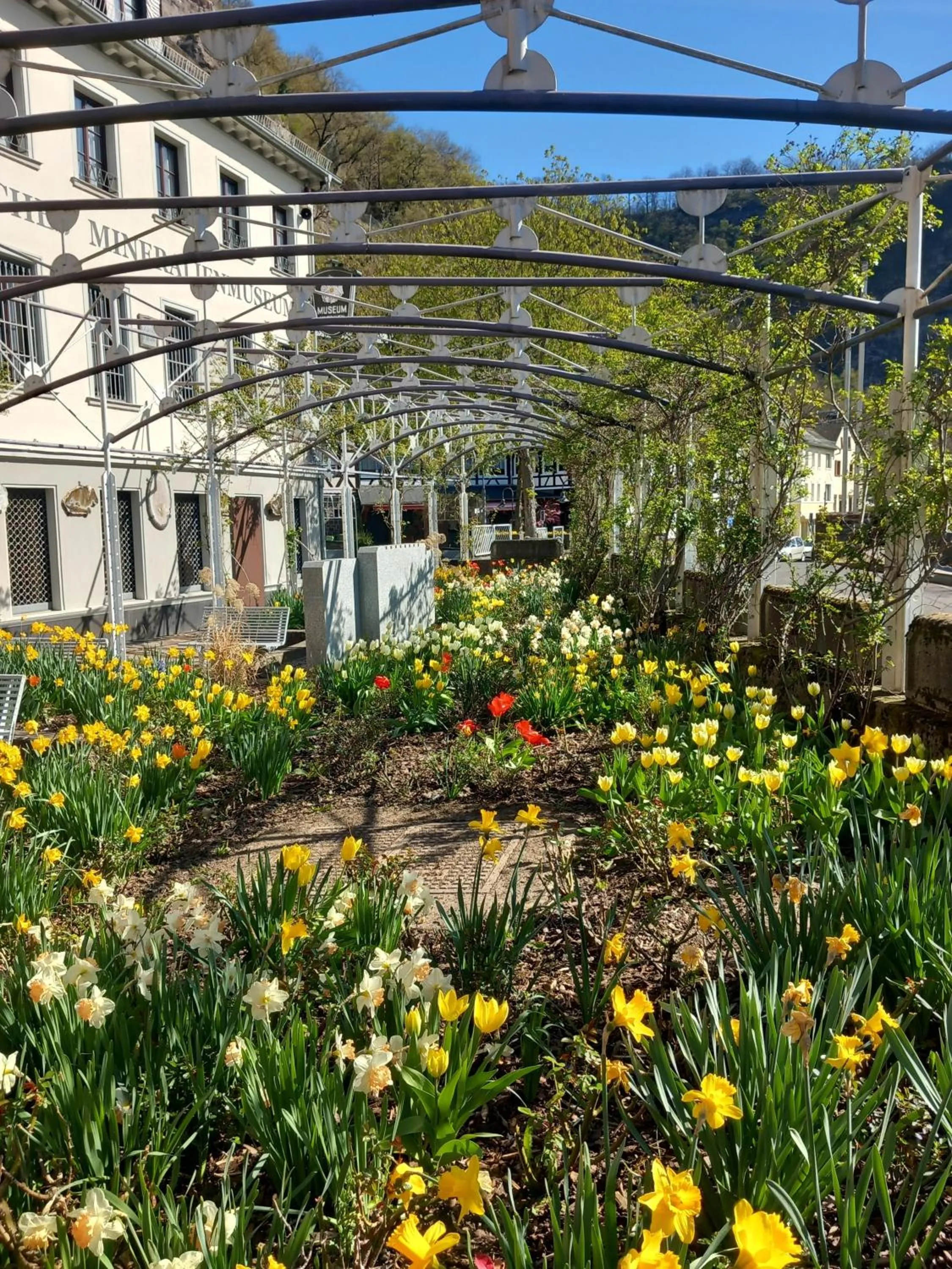 Area and facilities in Hotel Schloßschenke