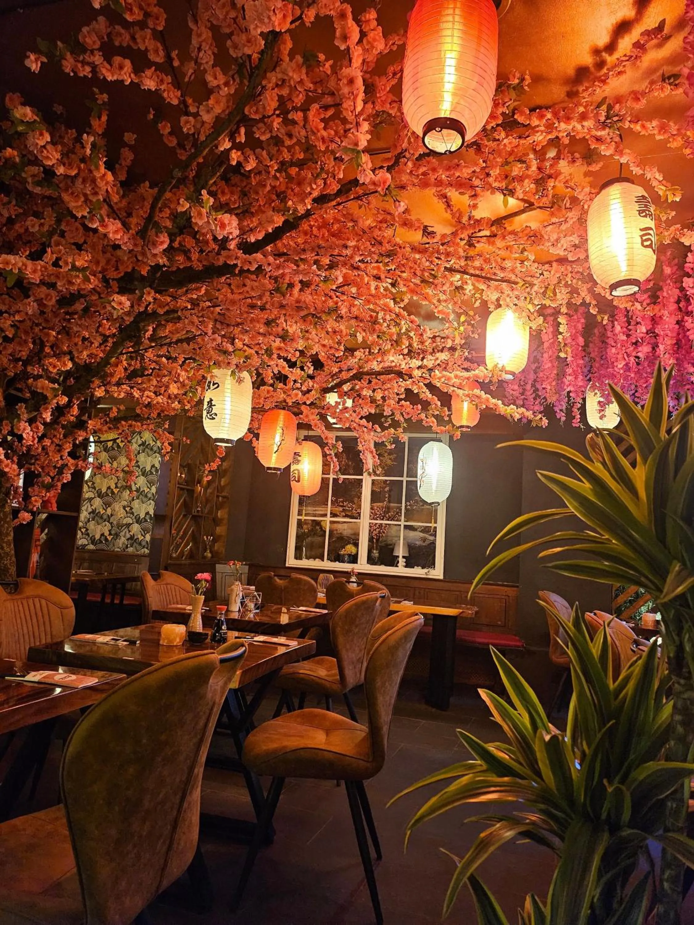 Restaurant/places to eat in Hotel Schloßschenke