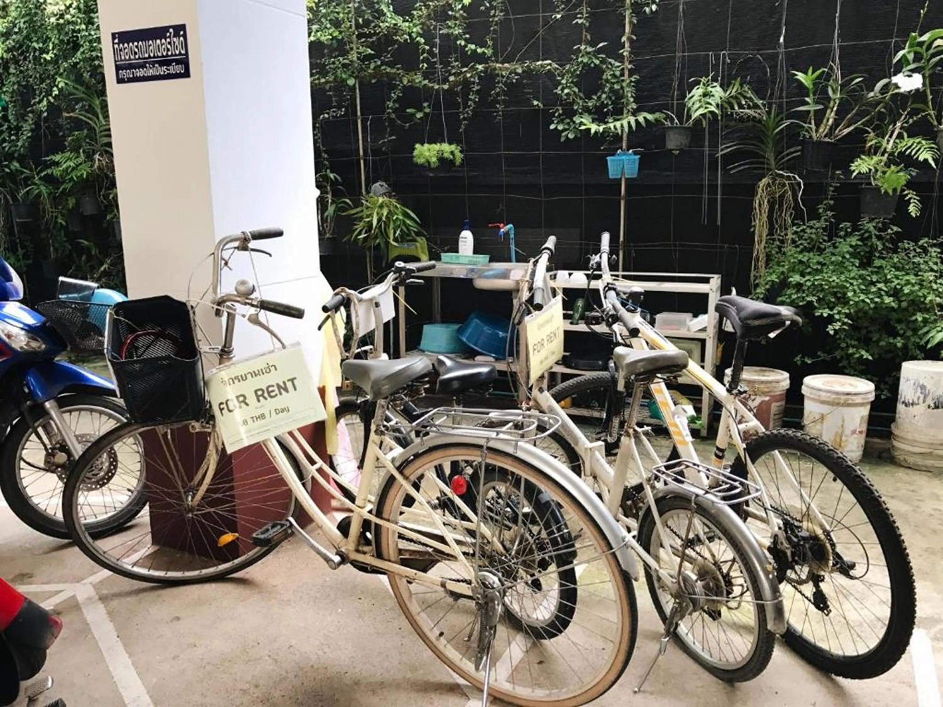 Cycling in Baan Nuk Anong