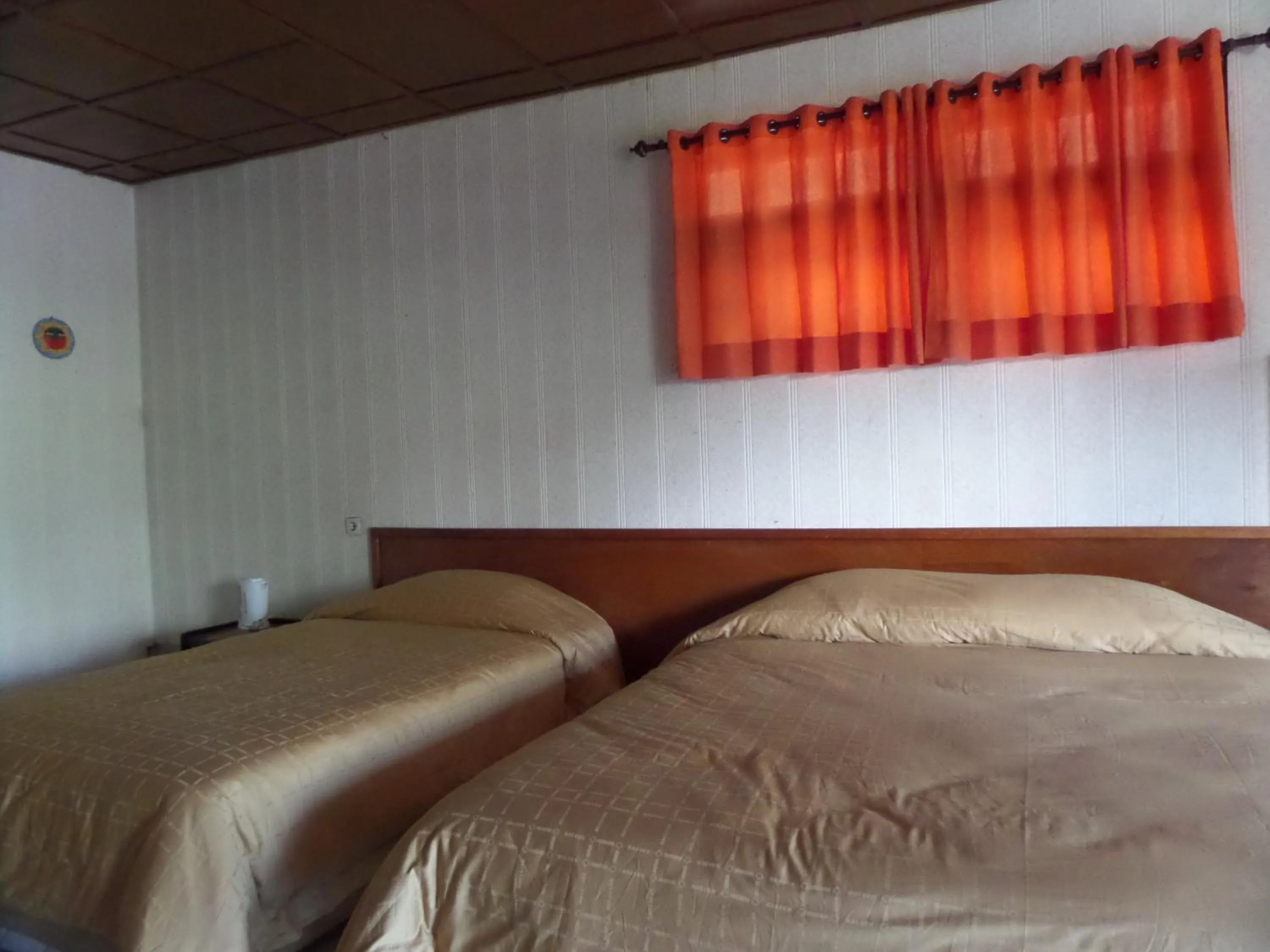 Photo of the whole room, Bed in Bromo Permai 1