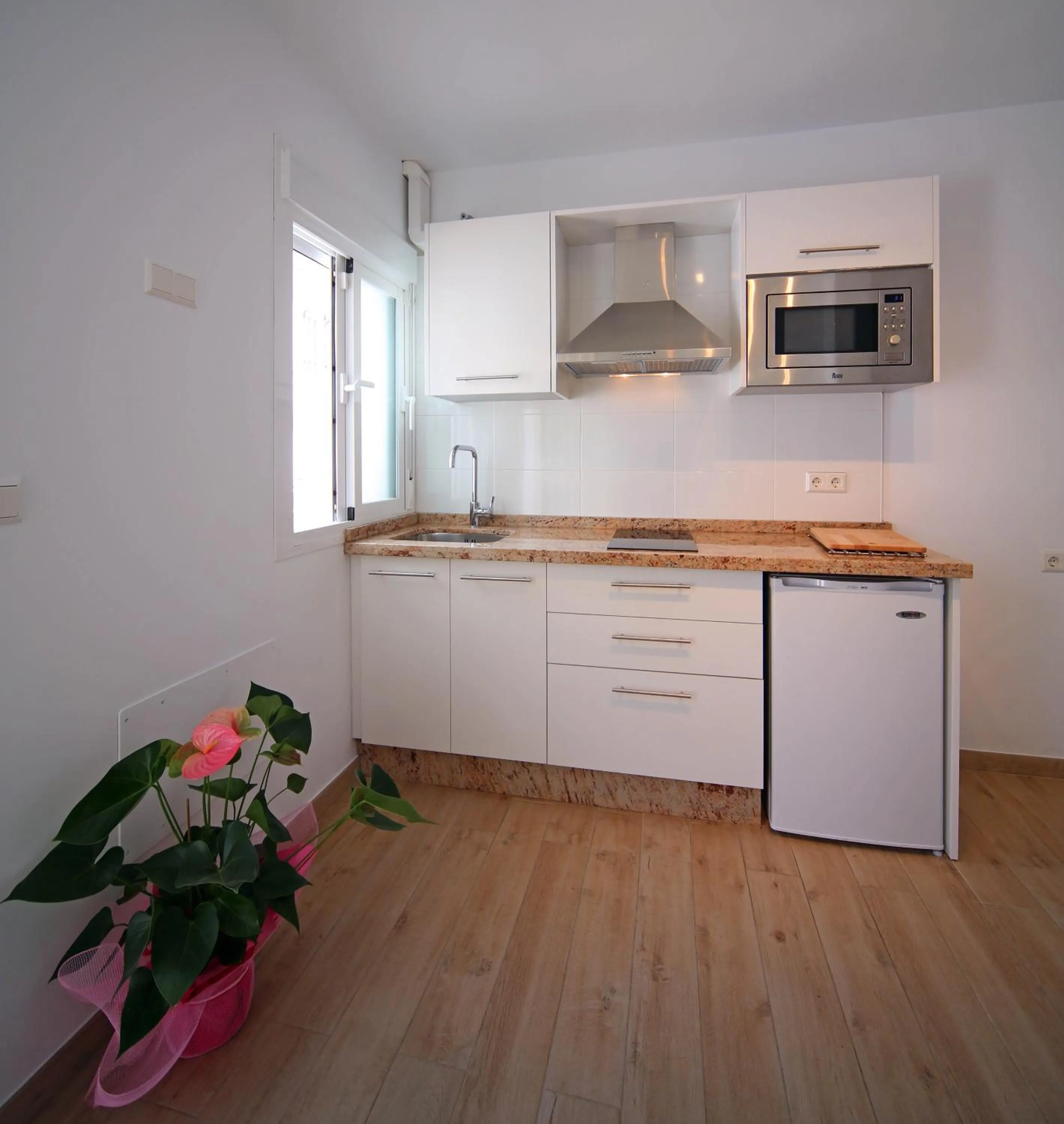Kitchen or kitchenette in Hotel Casa Rosa