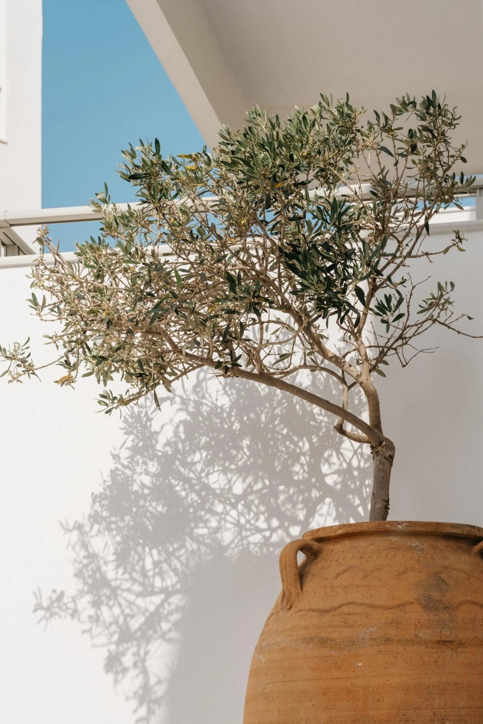 Property building in Cyano Hotel