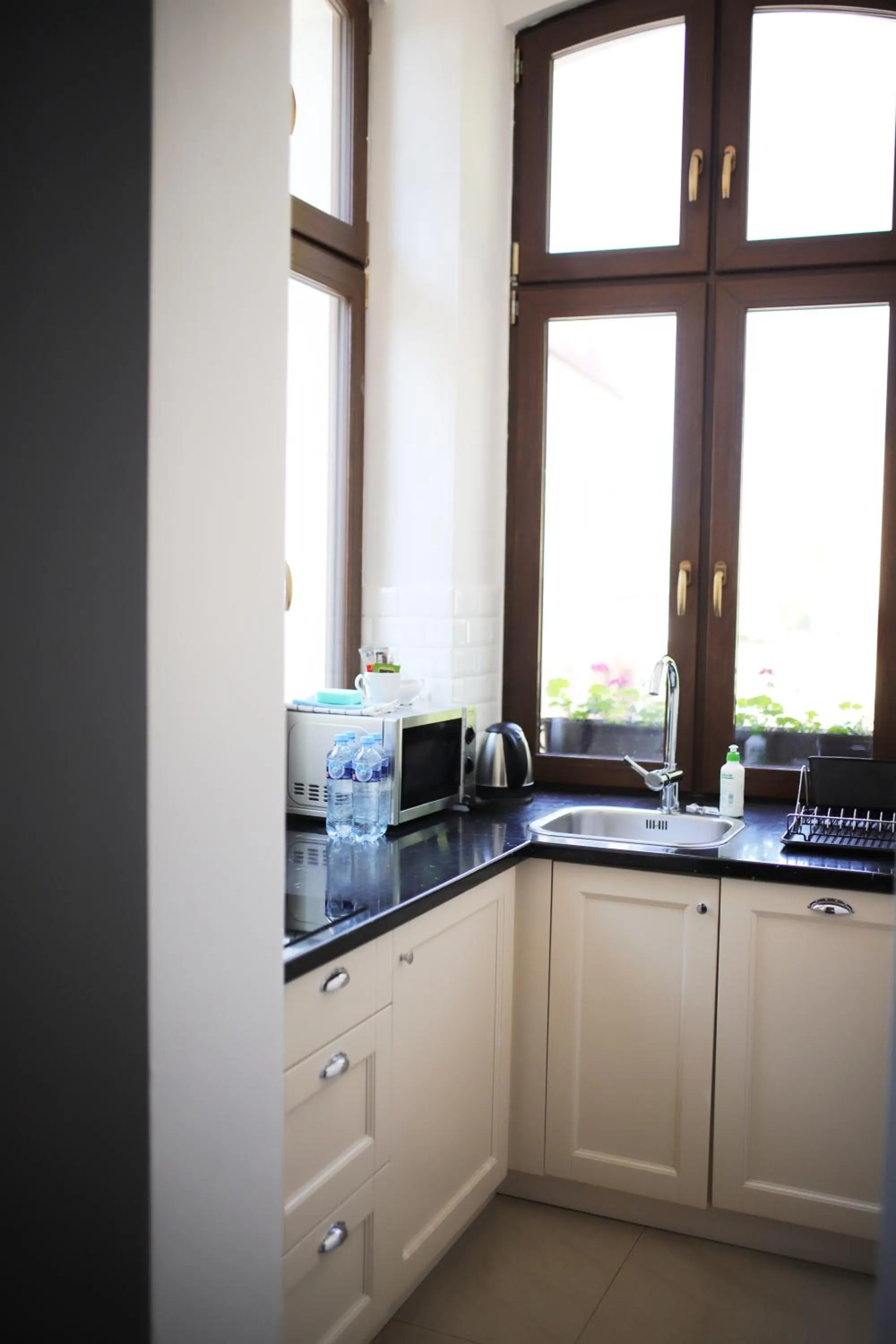 Kitchen or kitchenette in Willa Puck