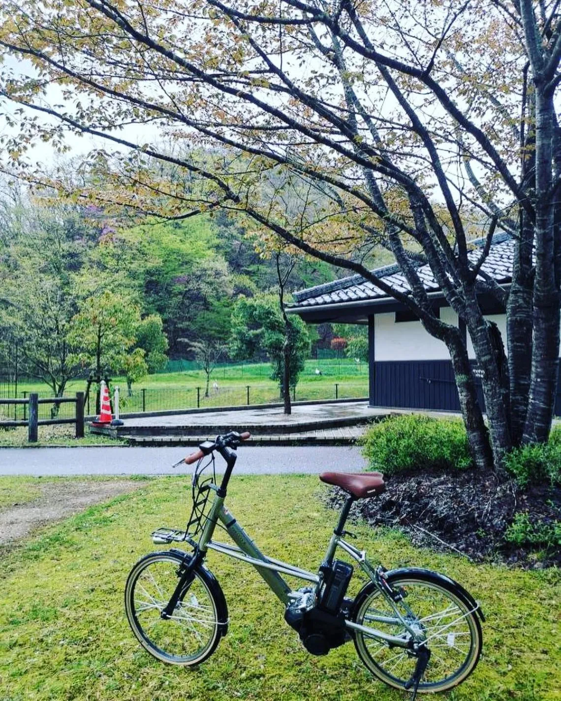 Cycling in Waterside Cottage Heron
