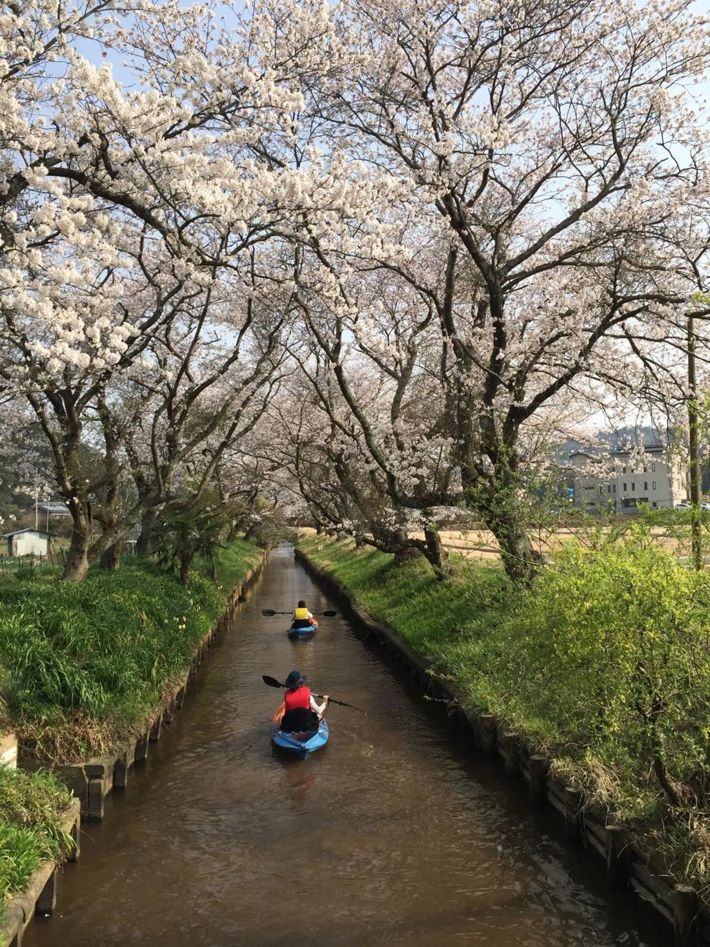 Off site in Waterside Cottage Heron